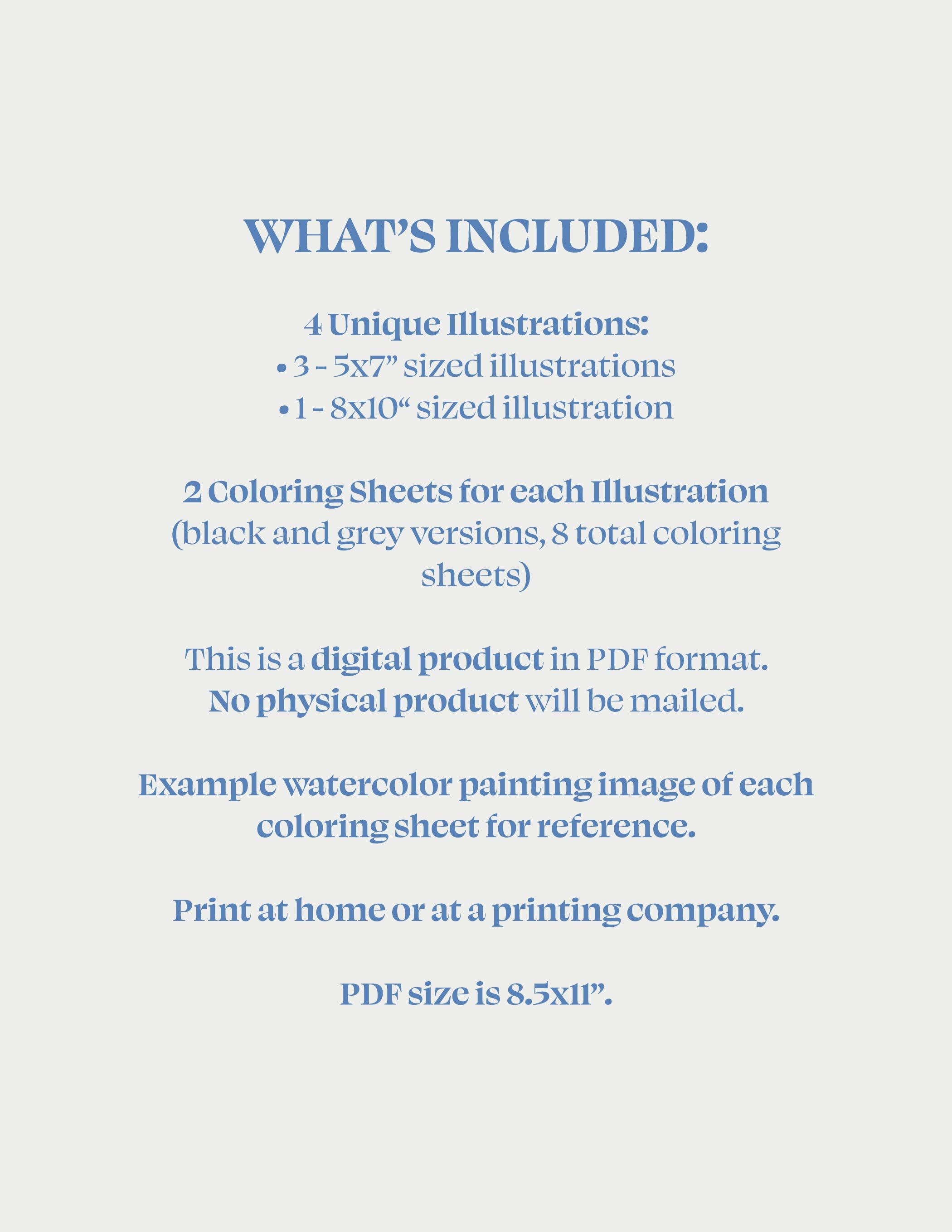 June Bundle Listing Images-22.jpg