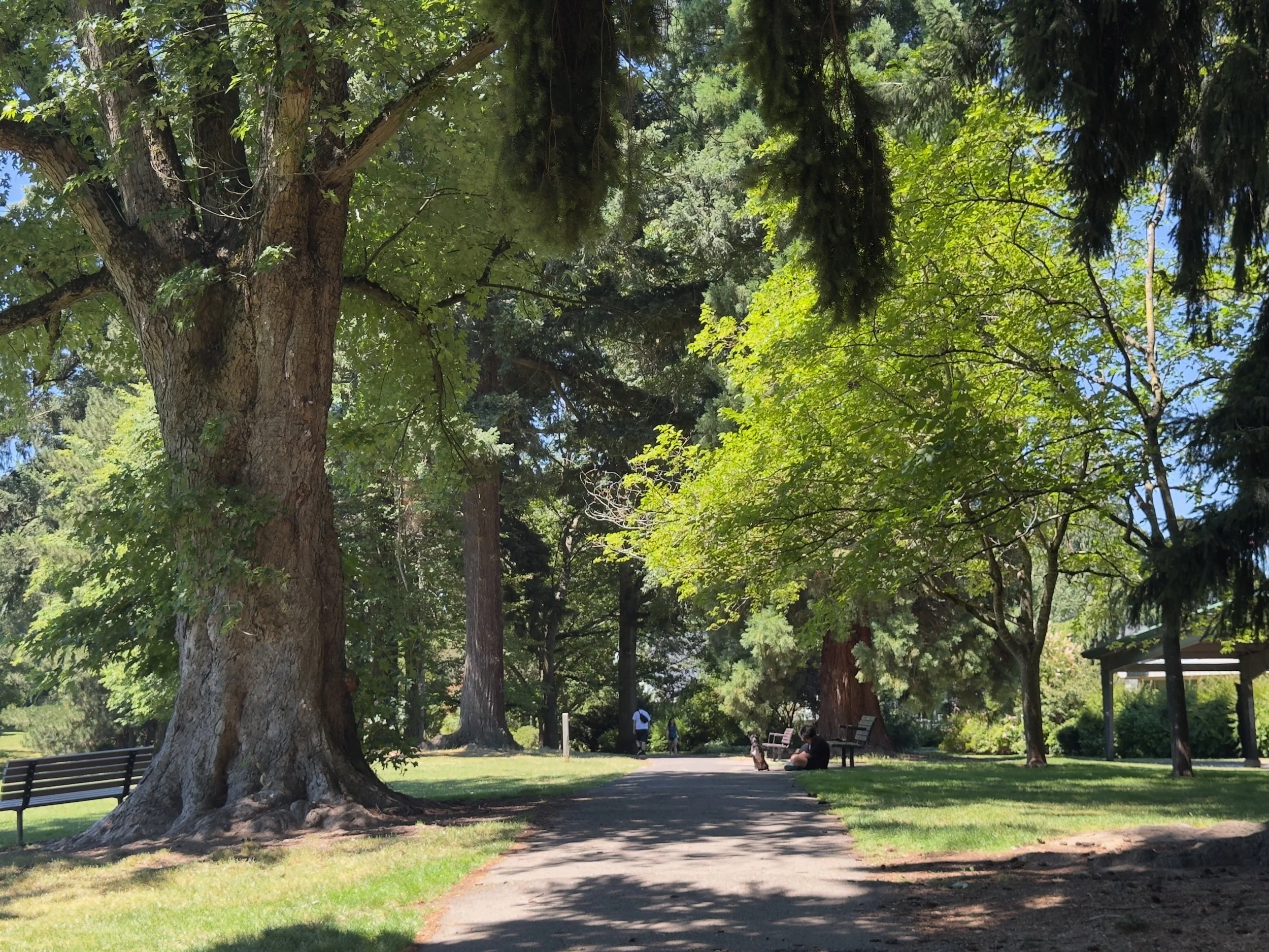 grant park_31.jpg
