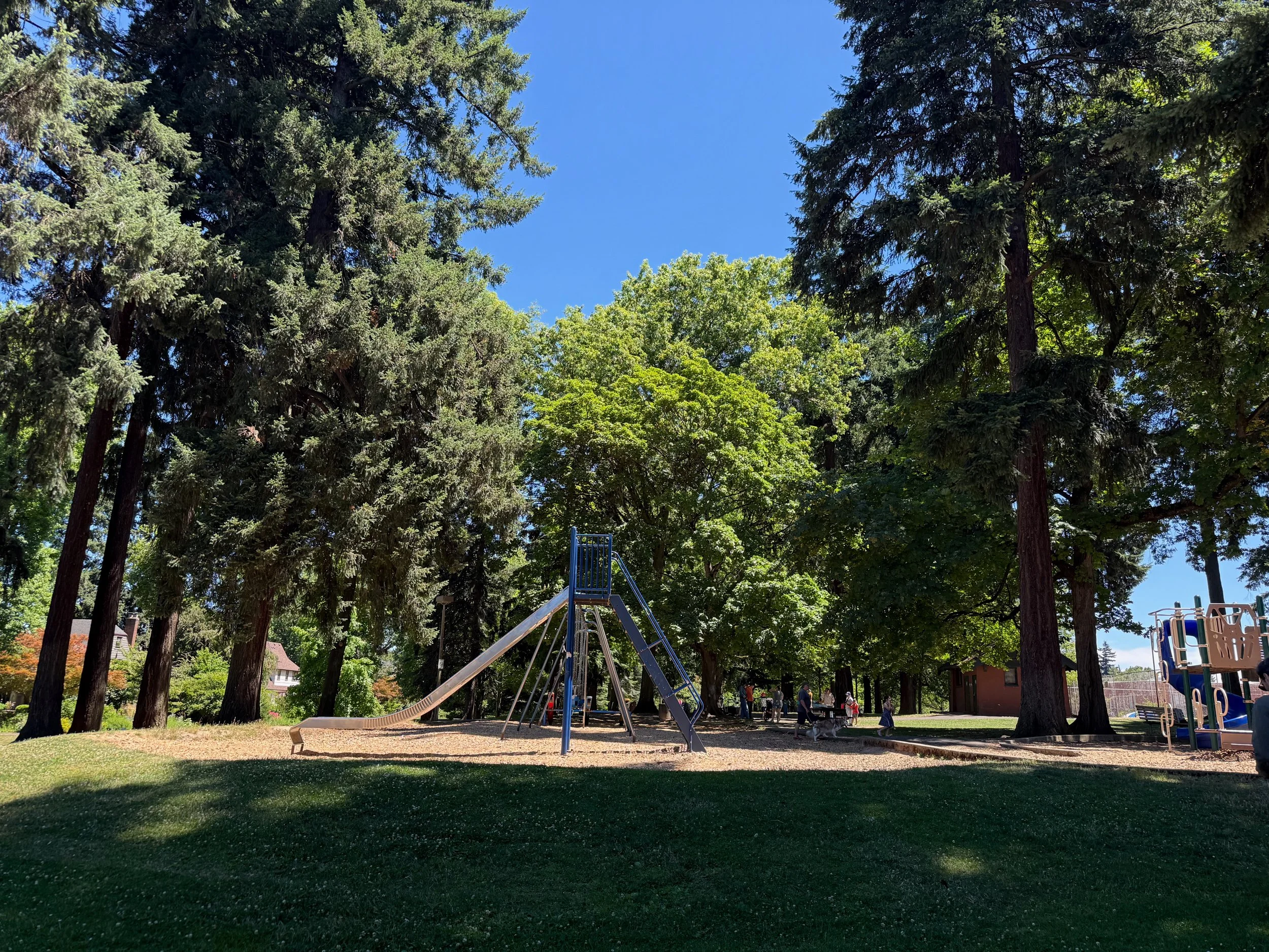 grant park_64.jpg