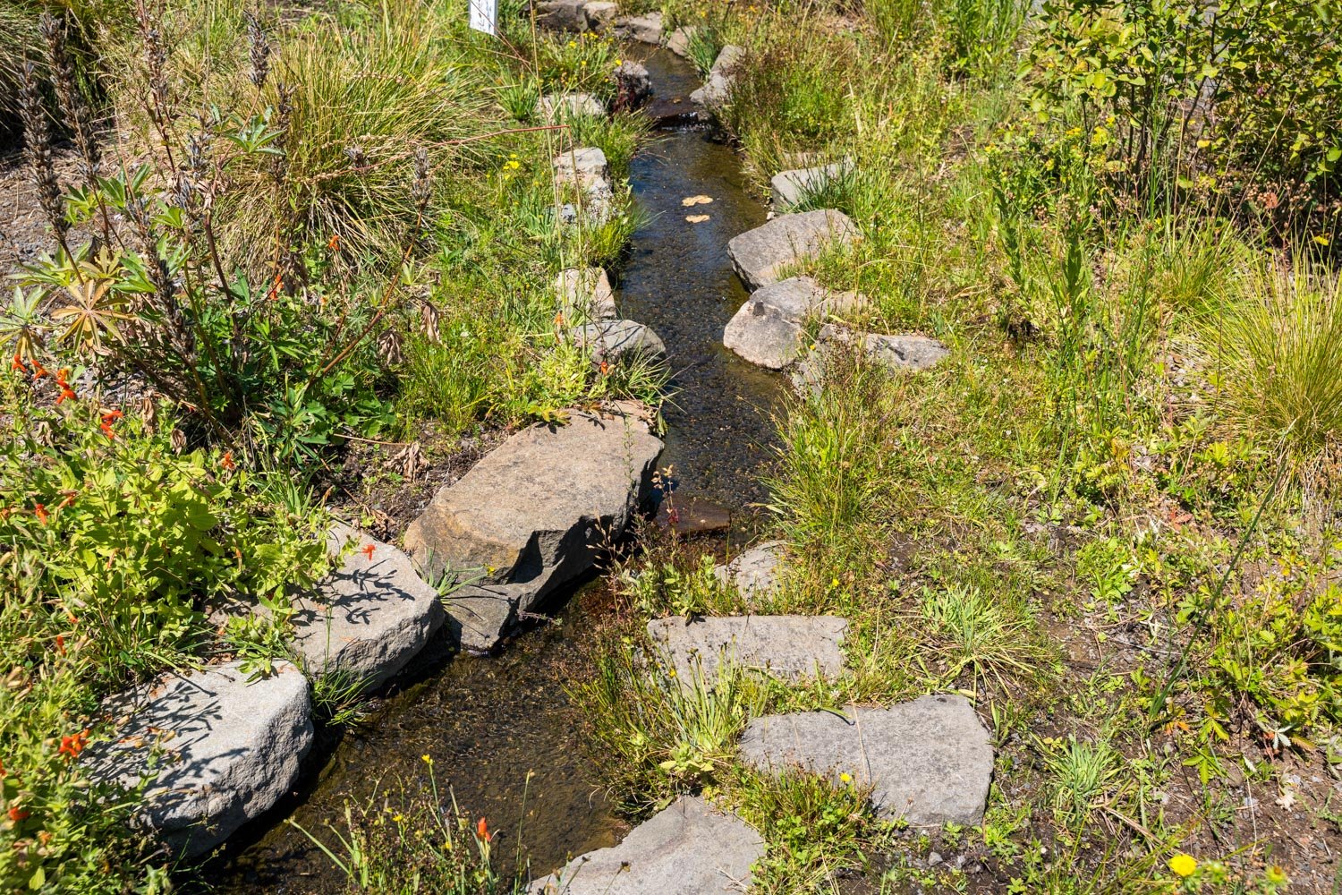 A7400116.jpg