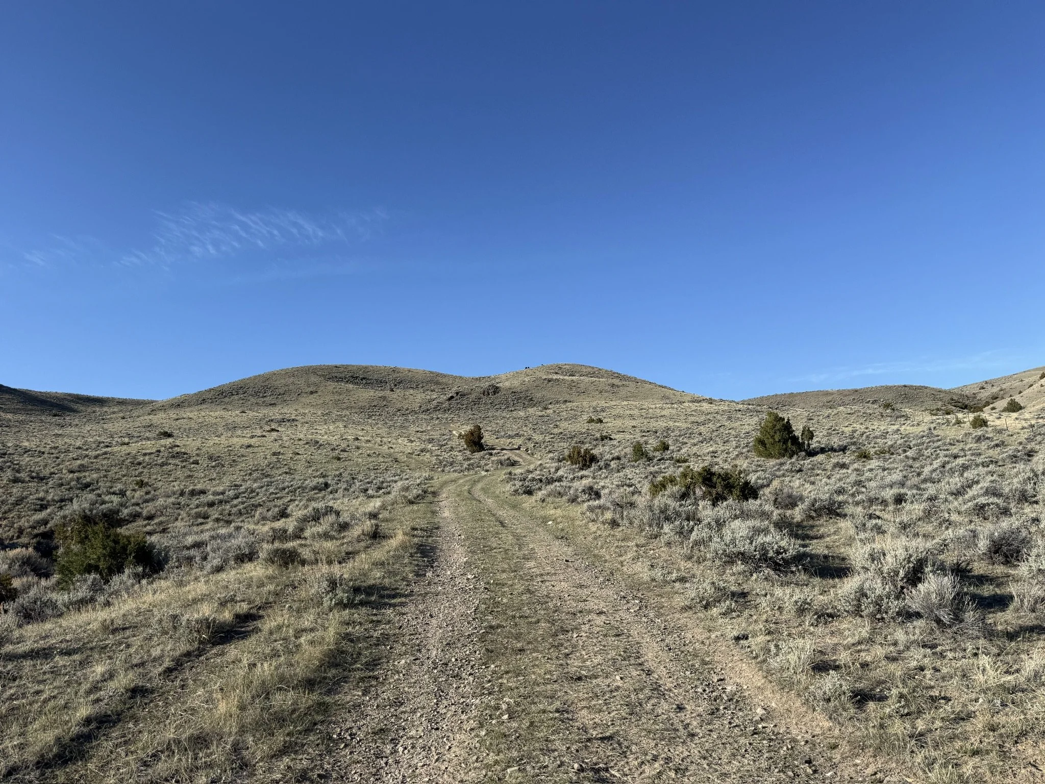 7F99C98F-1B06-4724-B0D4-280A8692A30E_1_102_o.jpeg