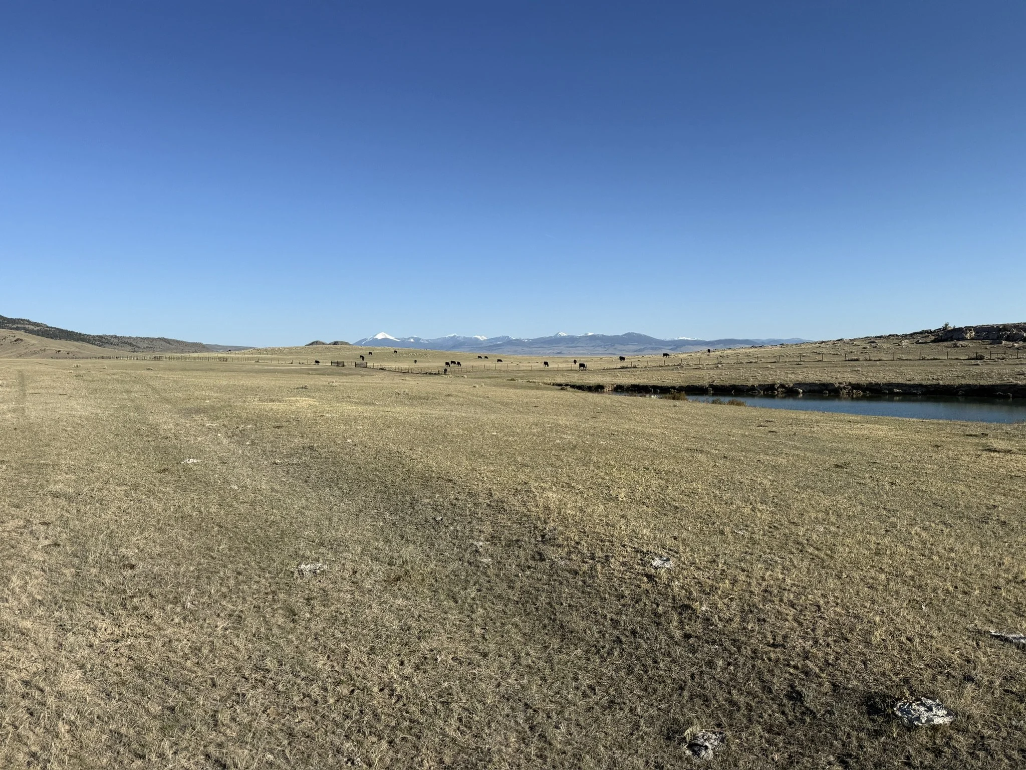 2E43BC52-0885-4AF7-A5A8-0E6DC50D91EB_1_102_o.jpeg