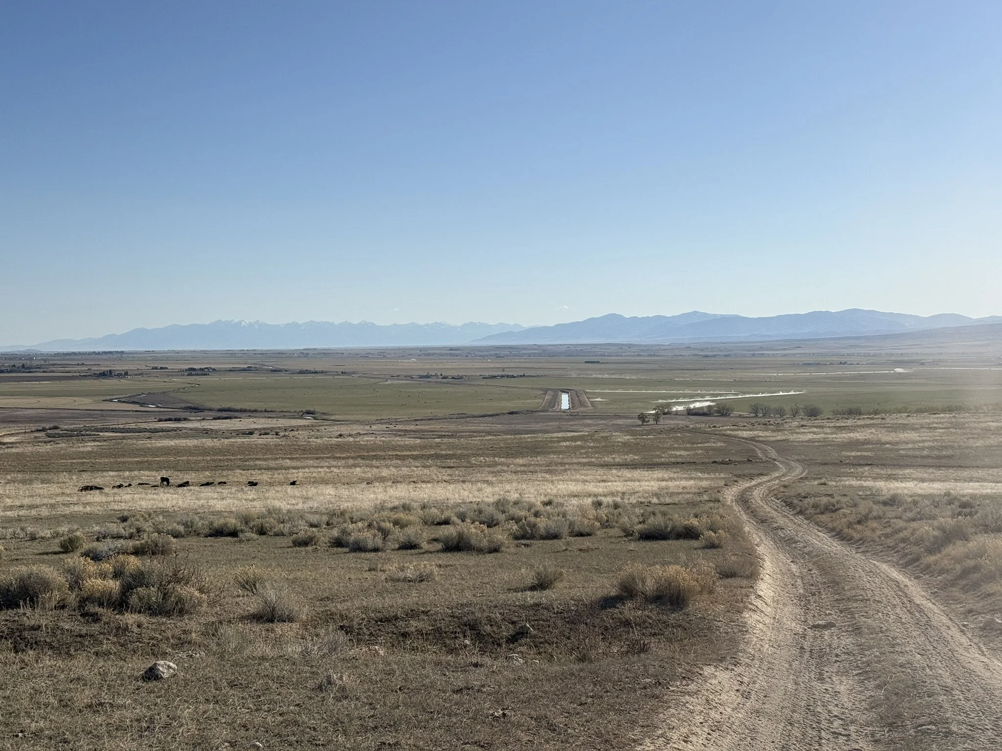 8F6A2403-4AB2-4351-8B0D-F12536B1E72F_1_102_o.jpeg