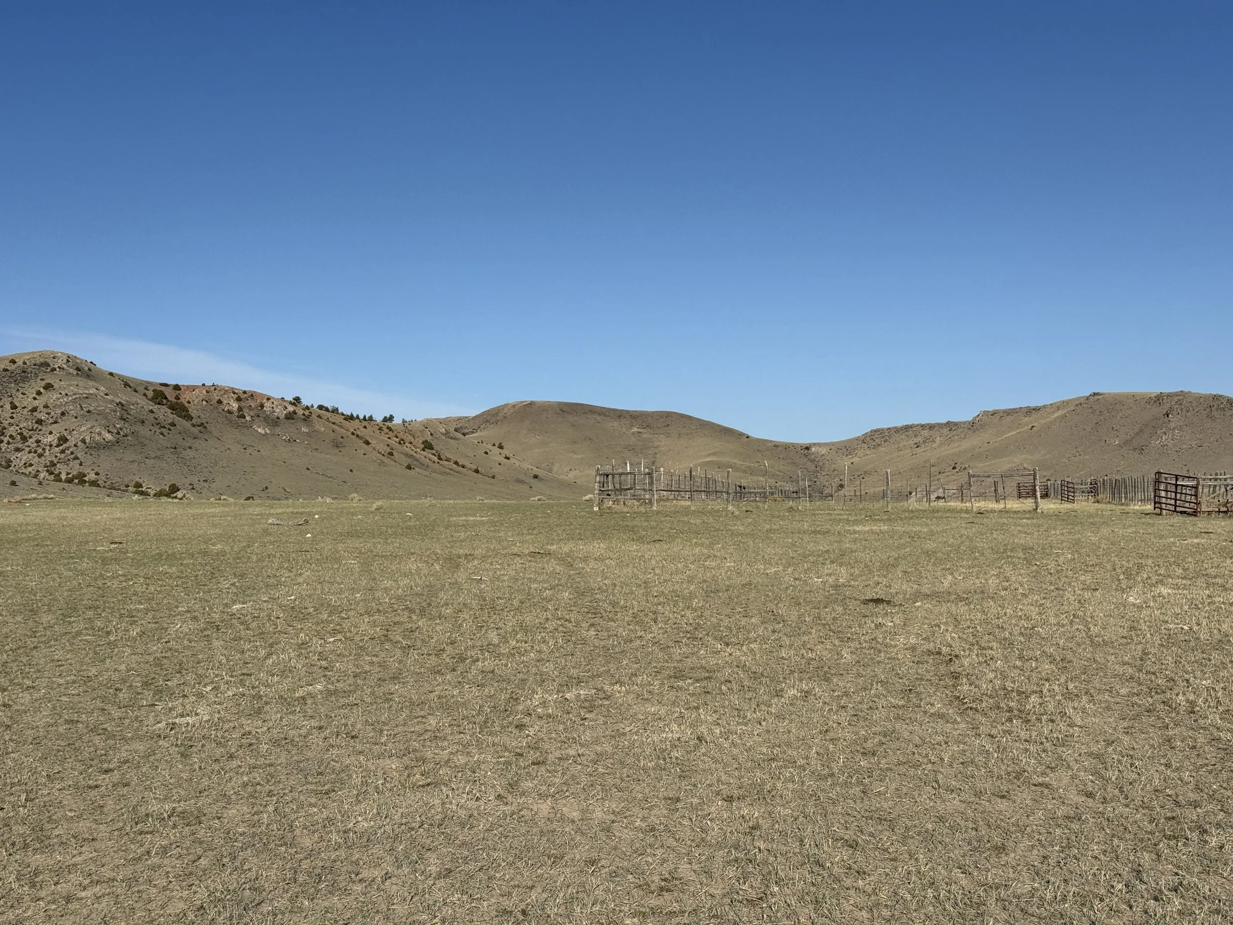 629175AF-D787-4311-8C4E-13871F283920.jpeg