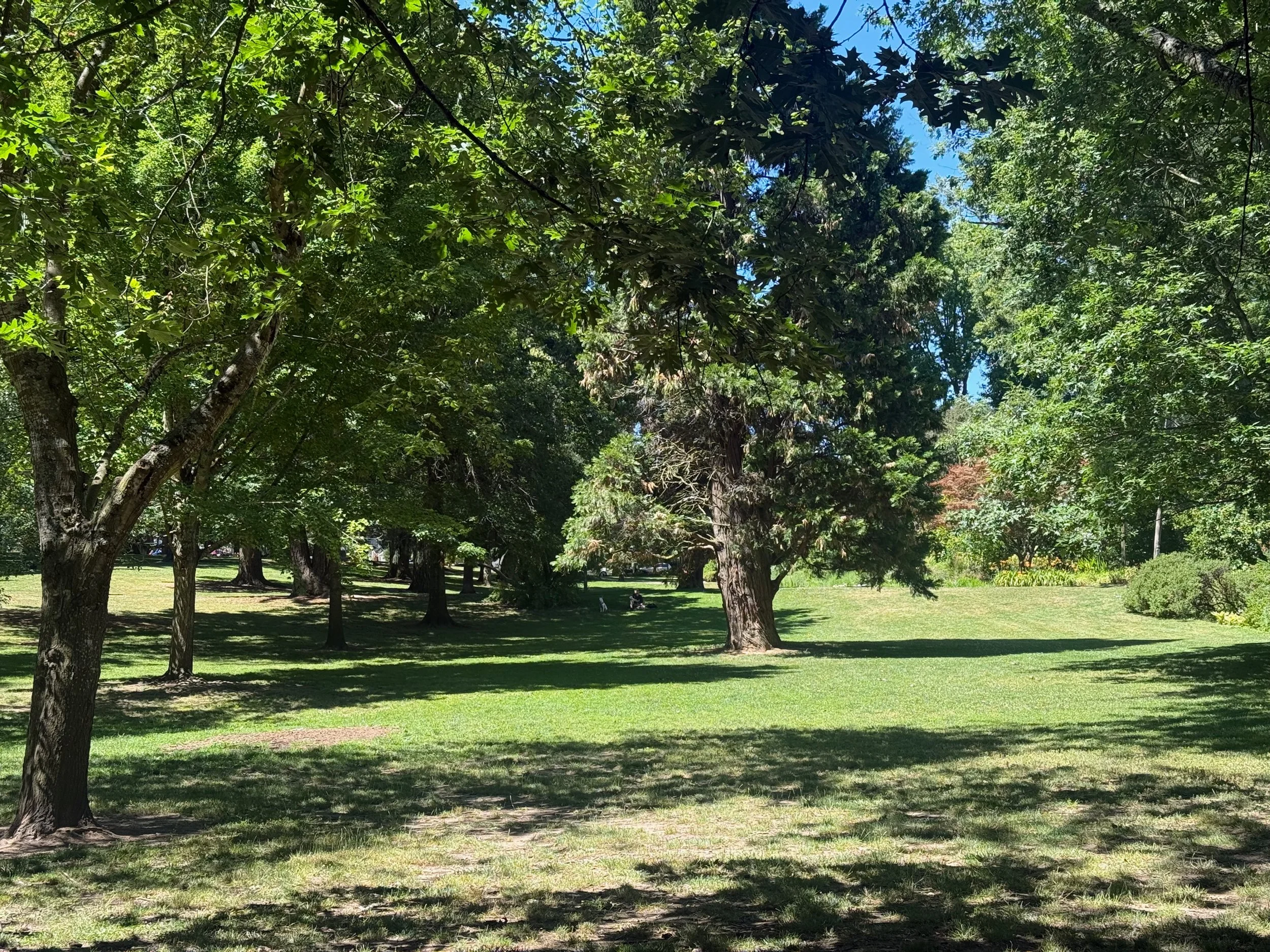 grant park_38.jpg