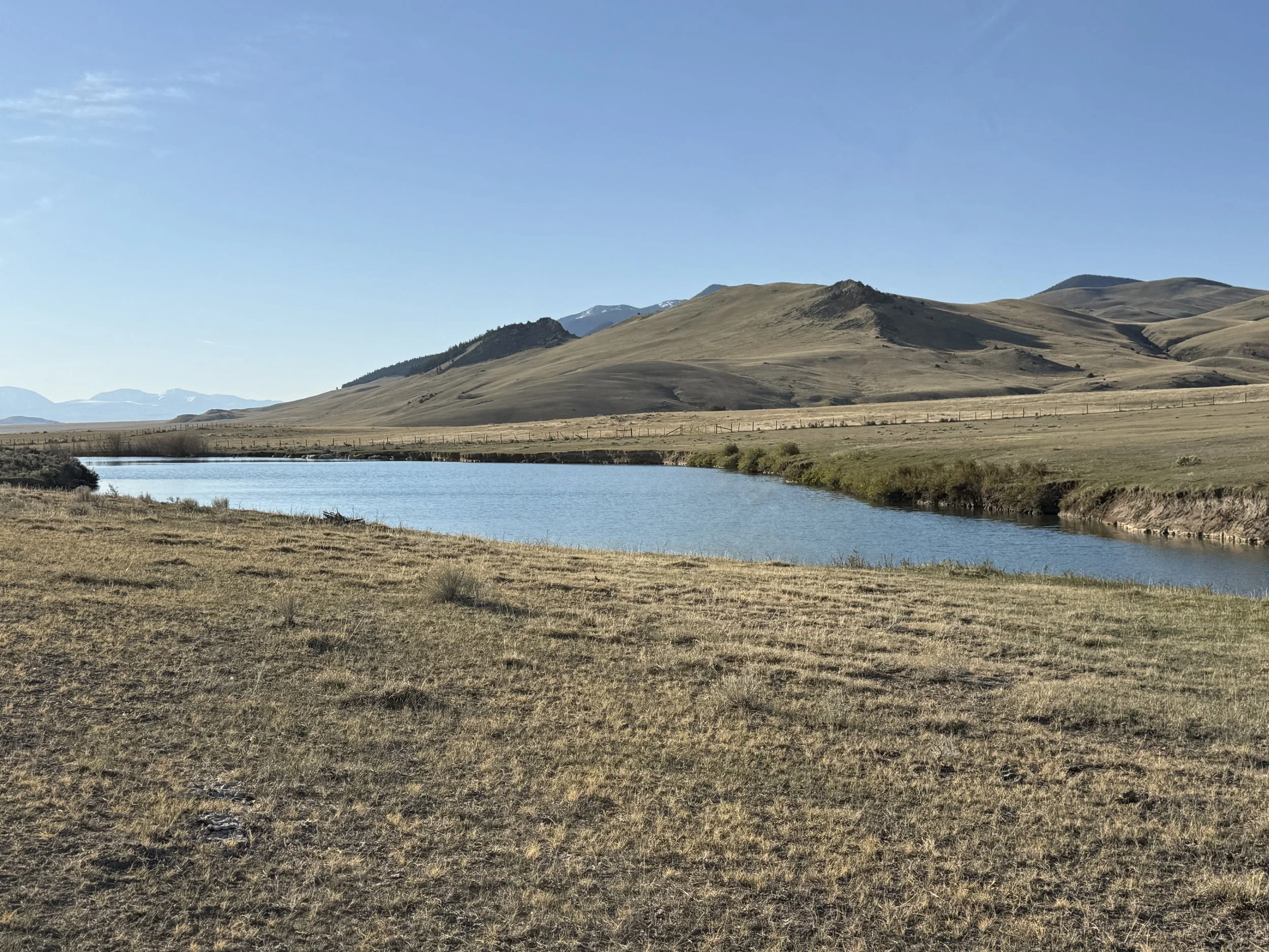 3550308D-8E50-48F6-B7DD-5D7A96721E86.jpeg
