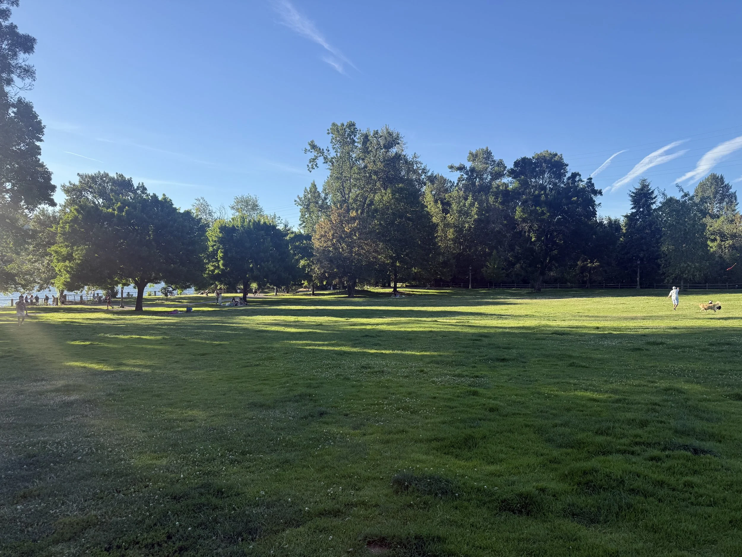 IMG_2715.jpeg