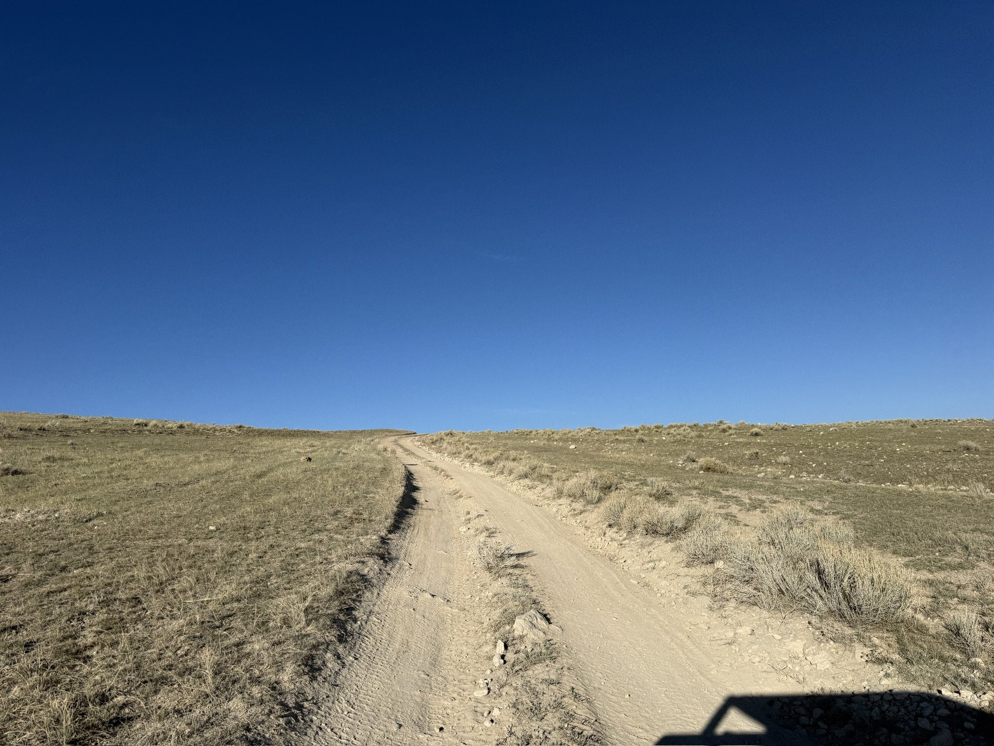 4F6A9987-EAA4-4FCA-9043-F827CDE8AC8E_1_102_o.jpeg