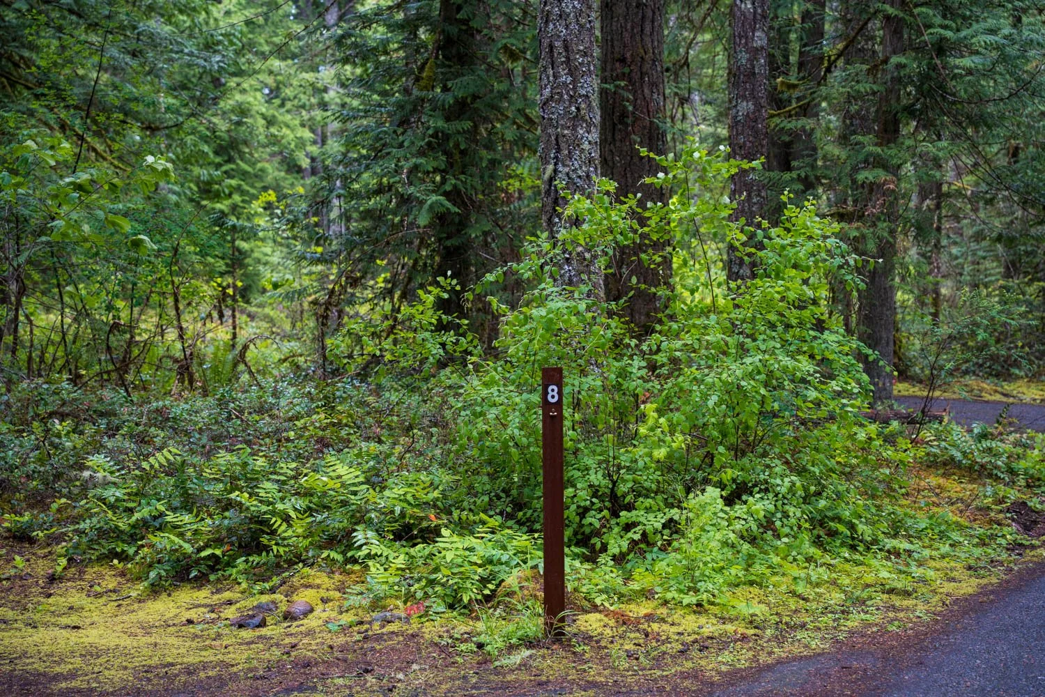 A7409250.jpg