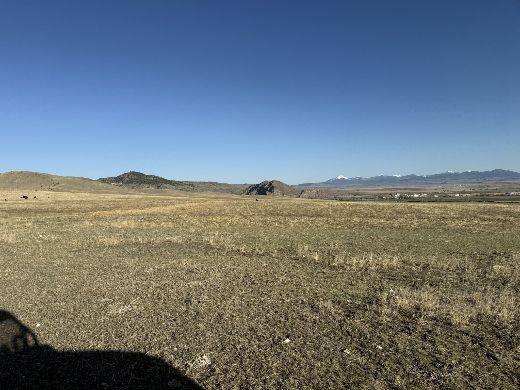 77CF6003-6846-4AE8-BEB0-5960492D1727_1_102_o.jpeg