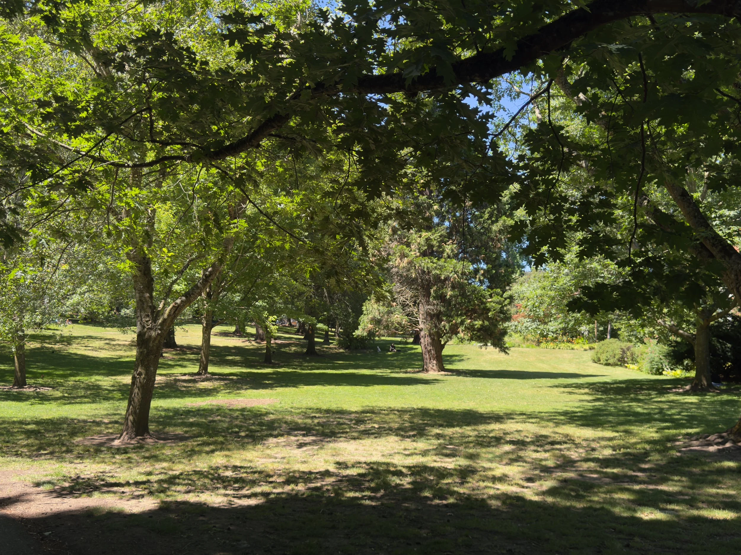 grant park_37.jpg