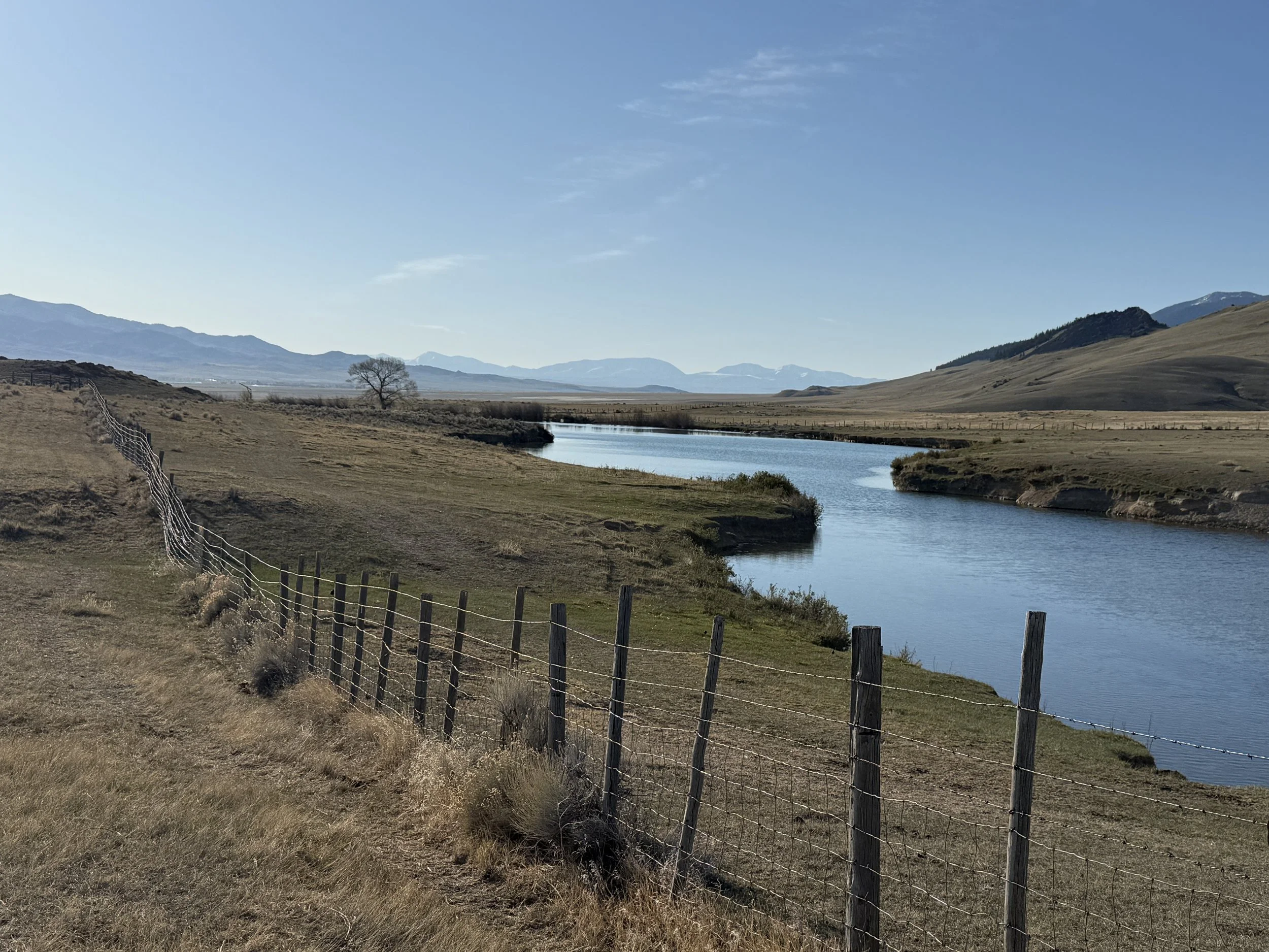 B14022E1-115D-4F1F-A970-E3D6E7D2CF91.jpeg