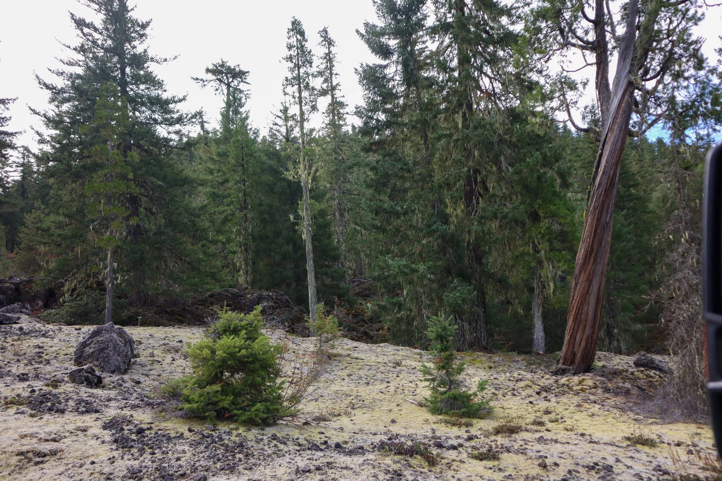 IMG_4984.jpg