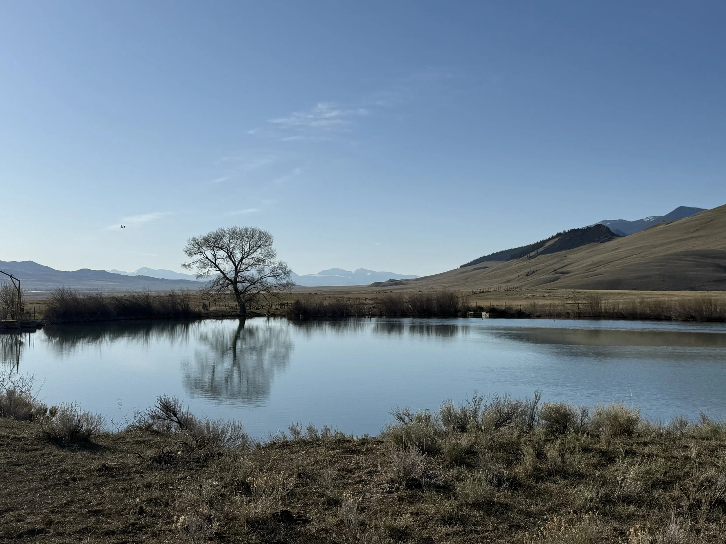 90D69C23-7298-4E5B-8624-6C00DF93CFE6.jpeg