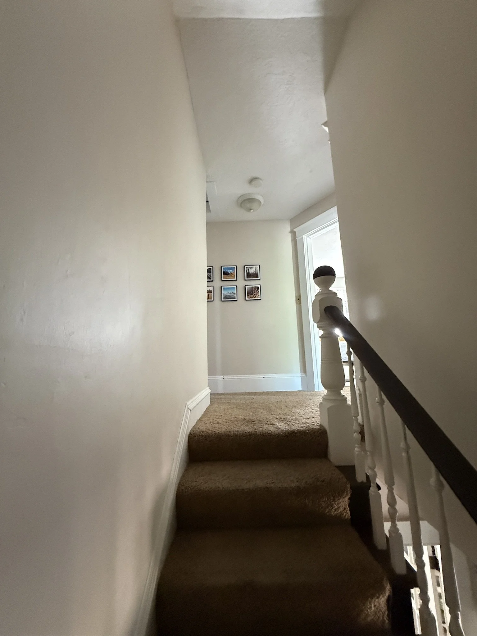 C04D0FAE-B180-4299-8666-243CED68B41F_1_102_o.jpeg