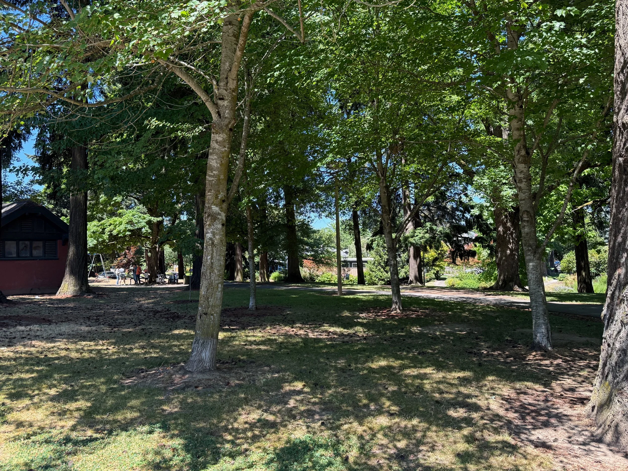 grant park_52.jpg