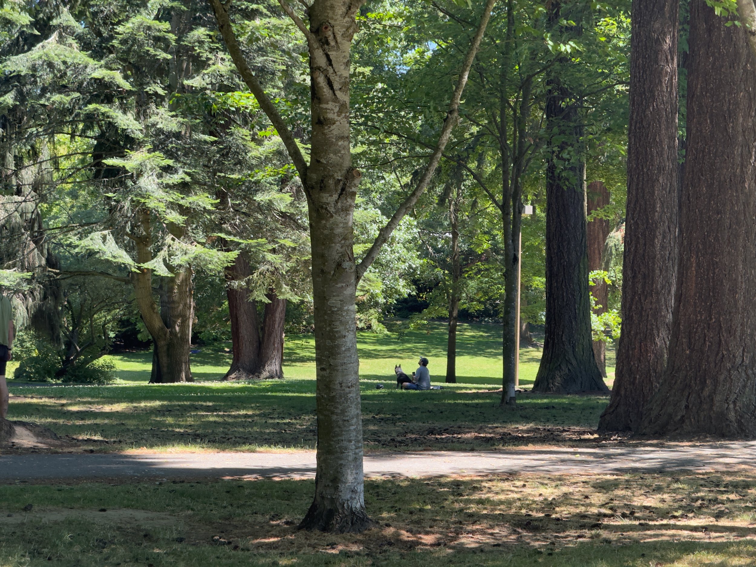 grant park_54.jpg