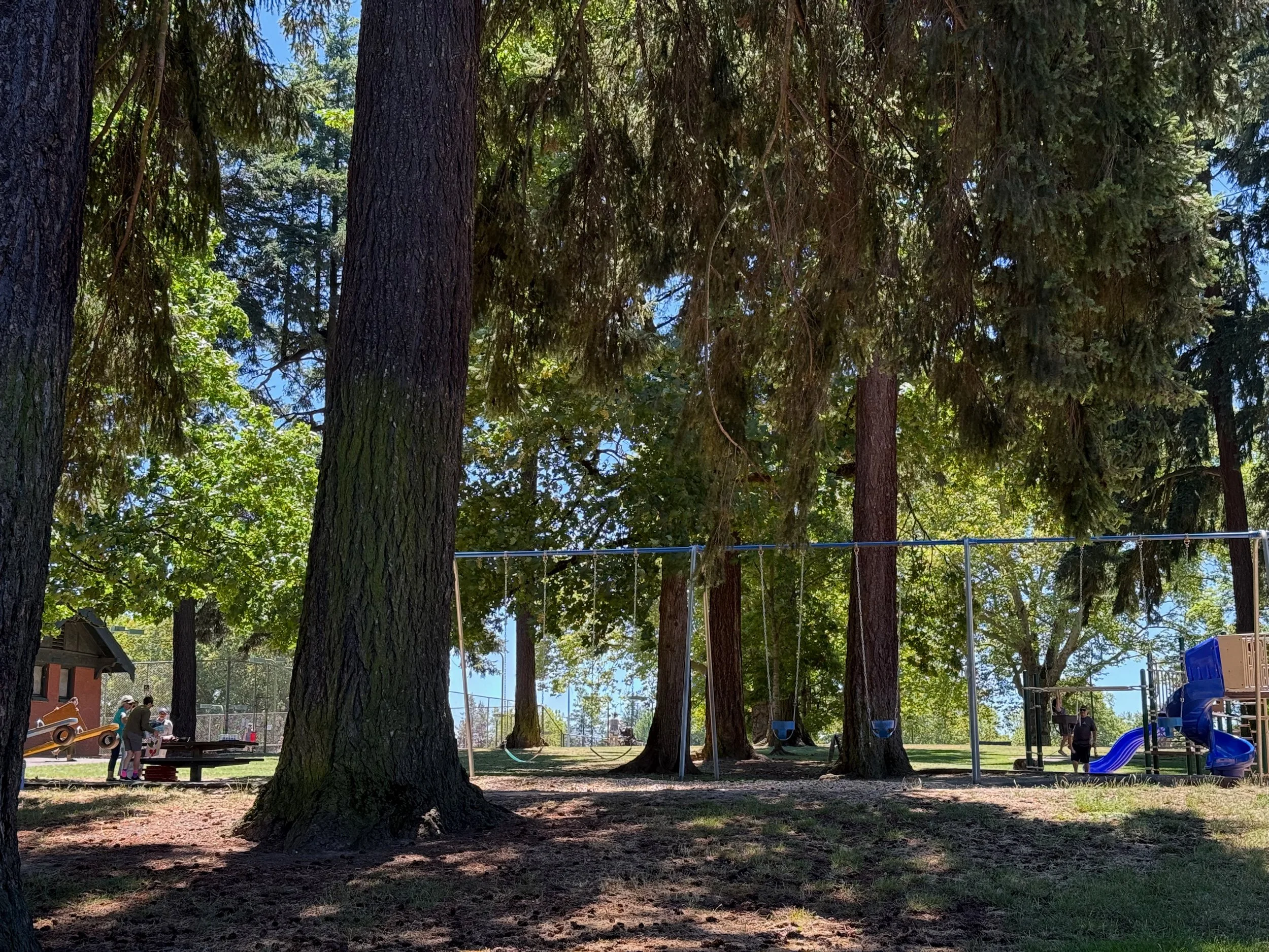 grant park_68.jpg