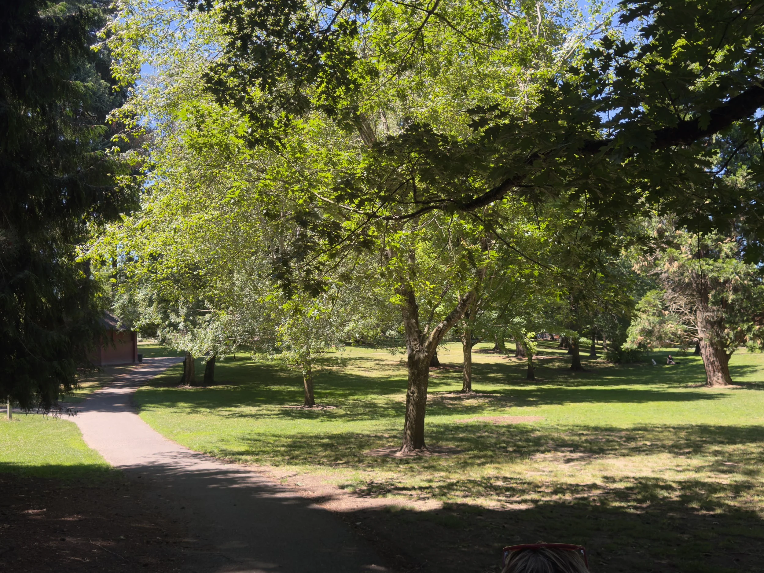 grant park_36.jpg
