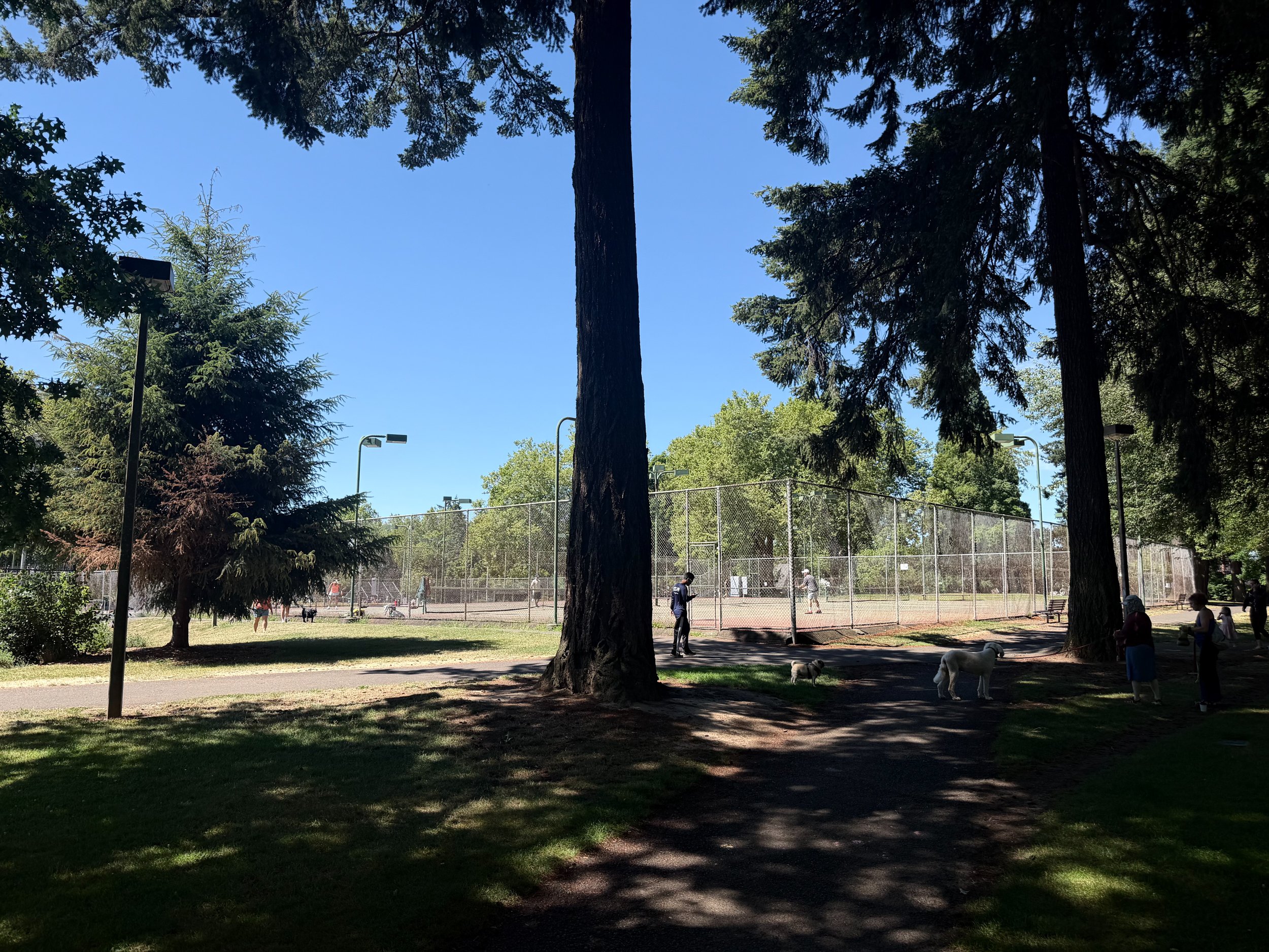 grant park_02.jpg
