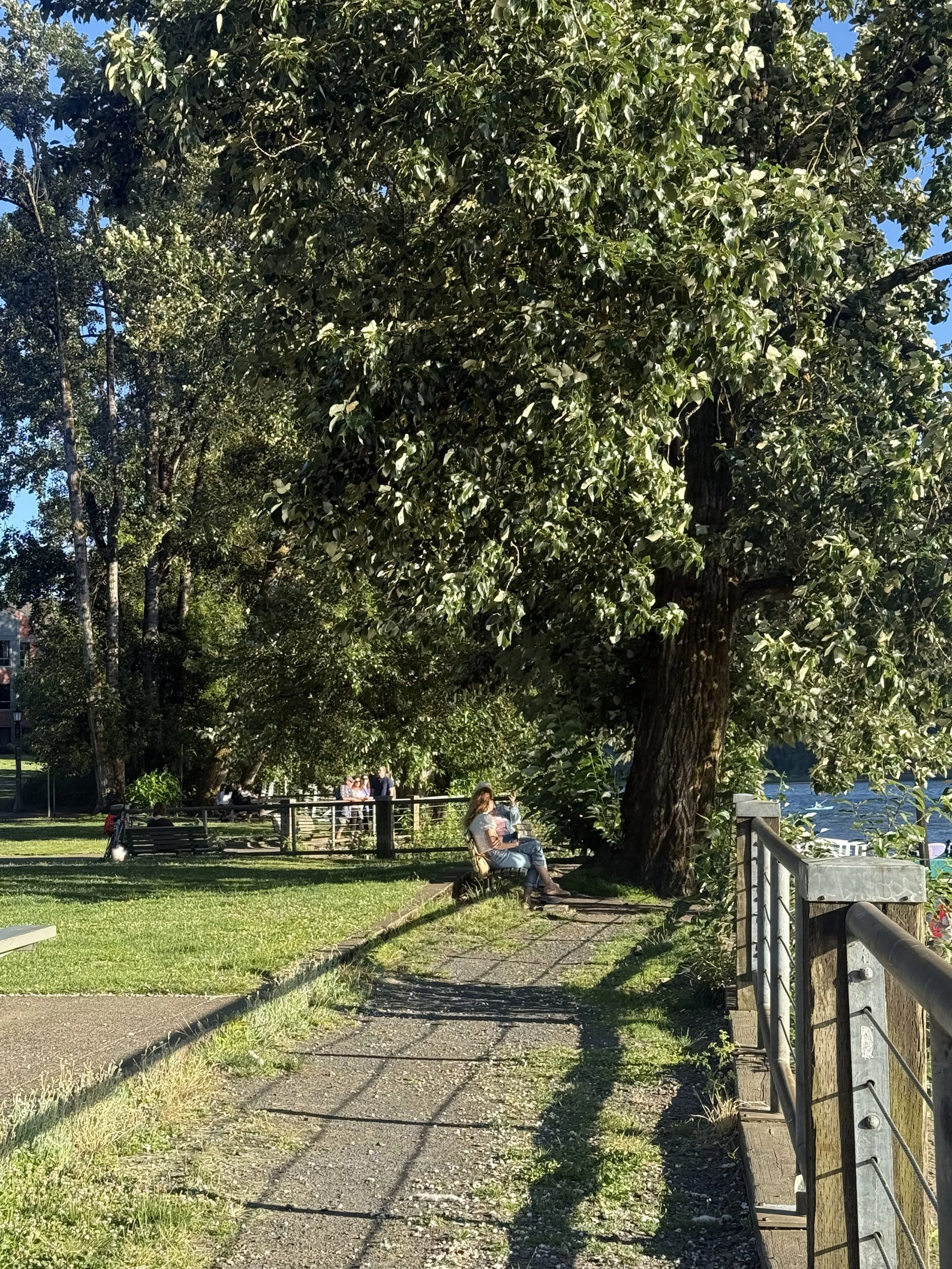 IMG_2707.jpeg