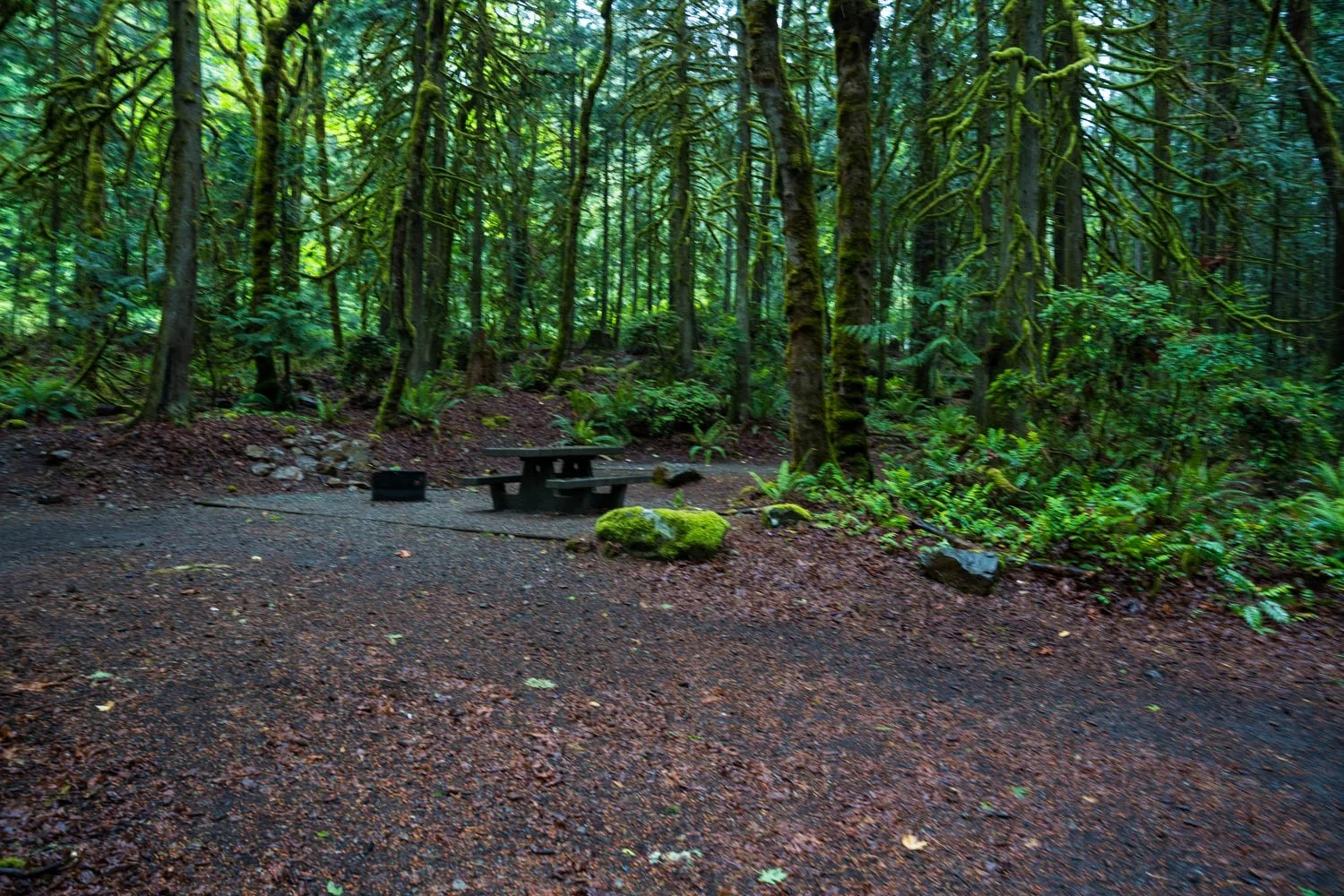 A7409302.jpg