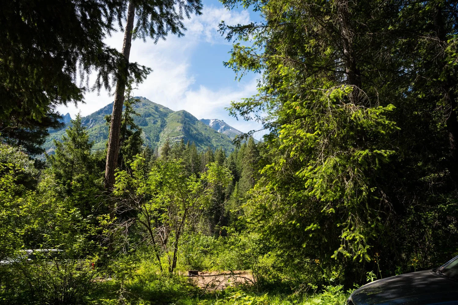 A7408500.jpg