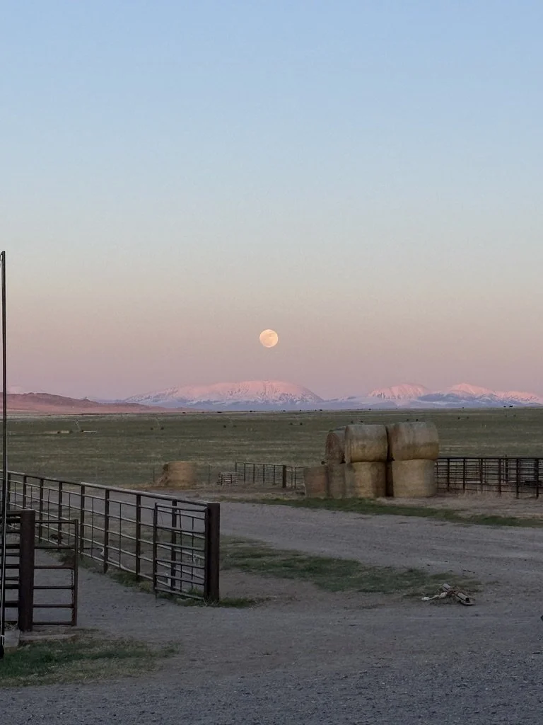 3F0B4F16-1008-4ACB-ABF4-16AB418D7F25_1_105_c.jpeg