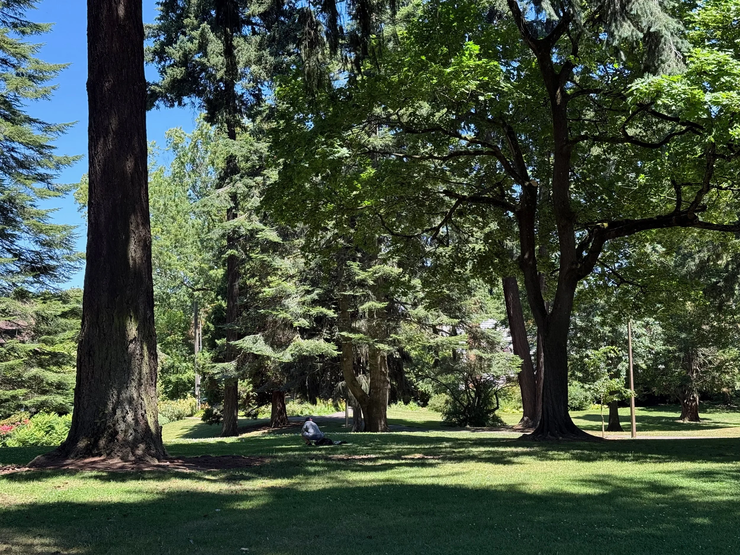grant park_75.jpg