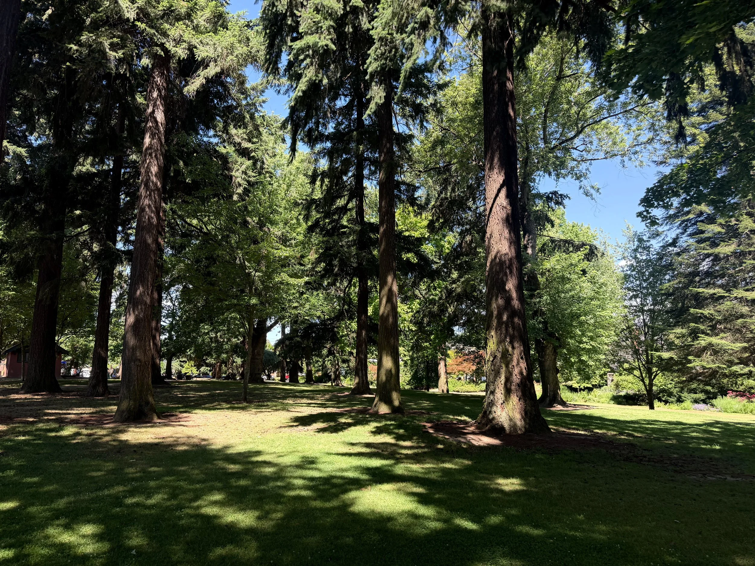 grant park_01.jpg
