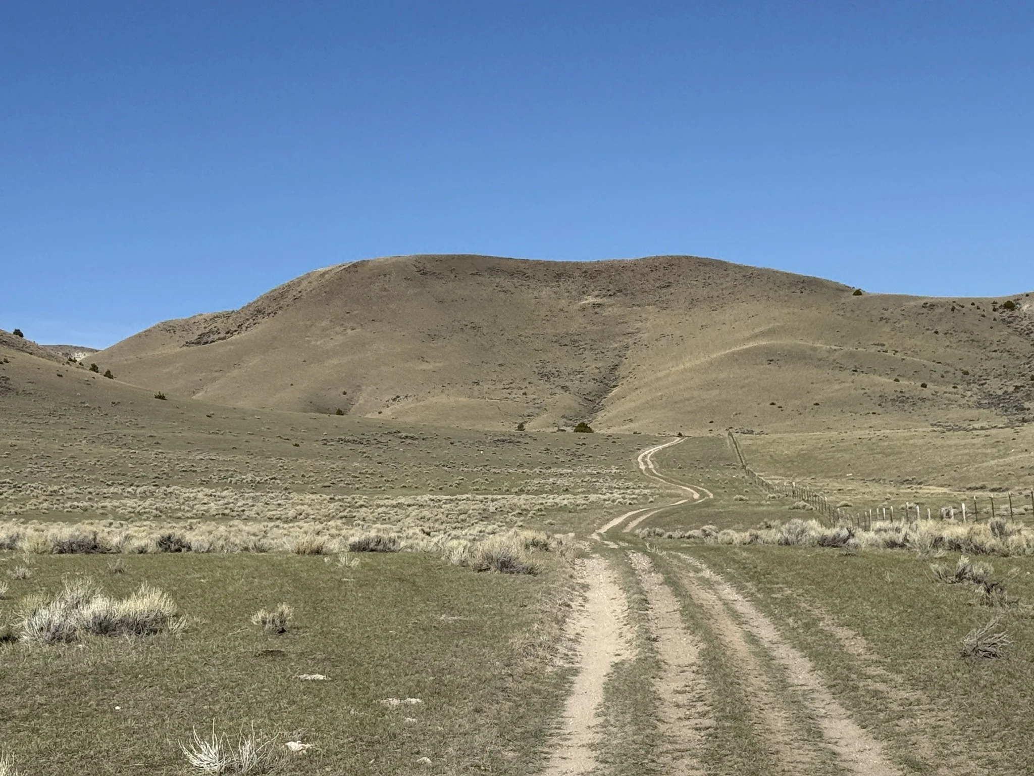5D044310-768B-4800-A9F1-94535137EA39_1_102_o.jpeg
