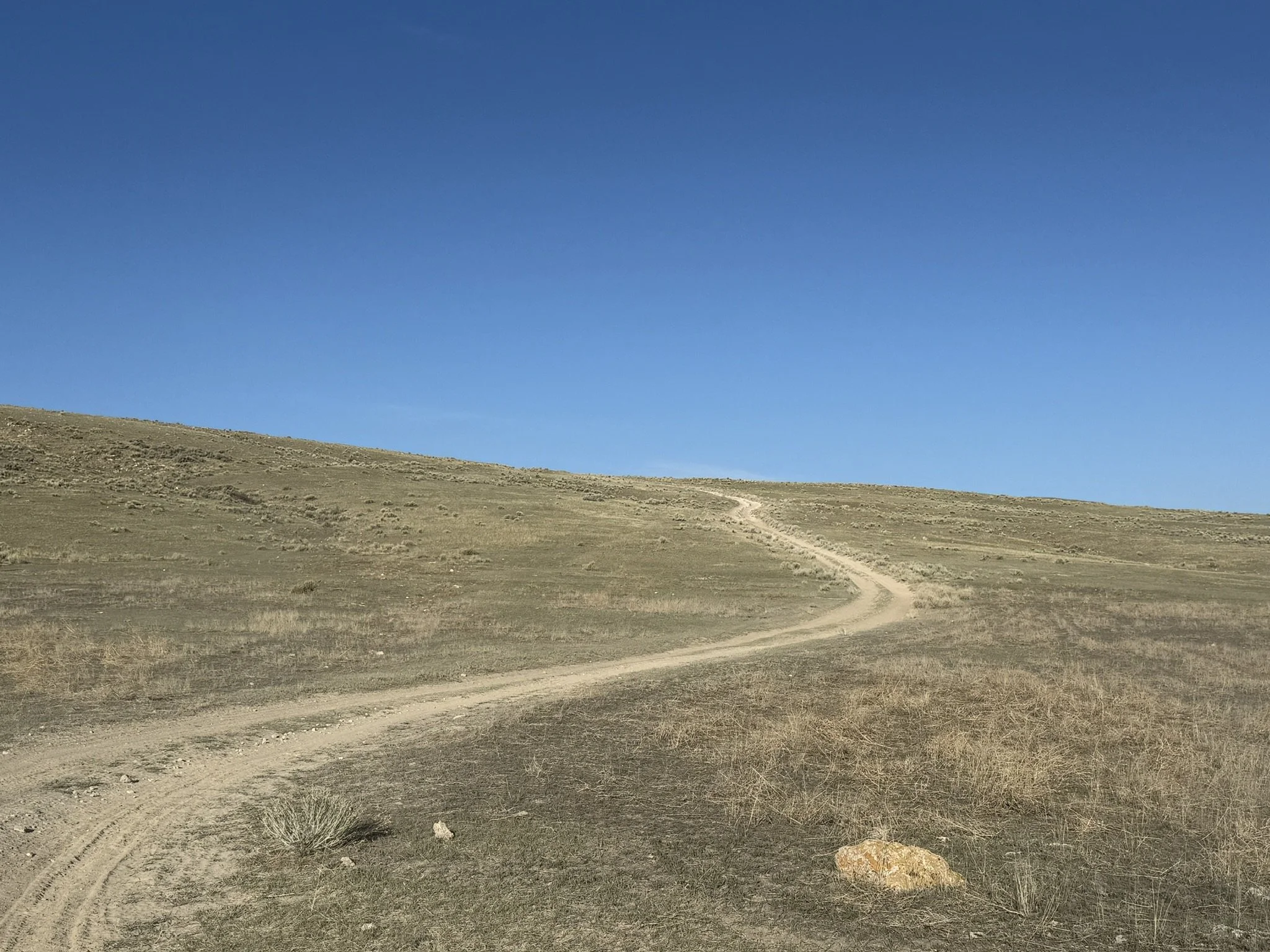 BC1CDF59-2691-43D1-939A-9FE837C9D092_1_102_o.jpeg