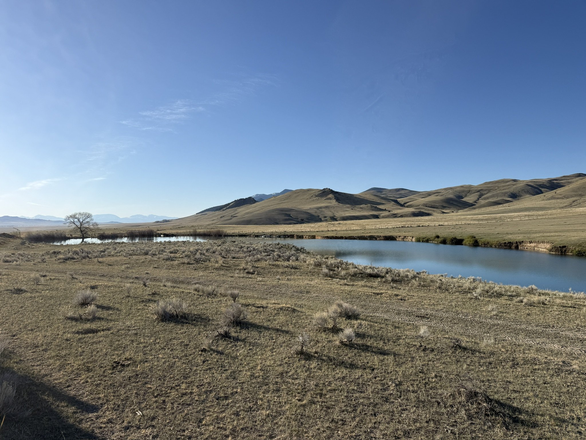 5C448B76-0894-4F70-BA00-A6AFE0F70E95_1_102_o.jpeg