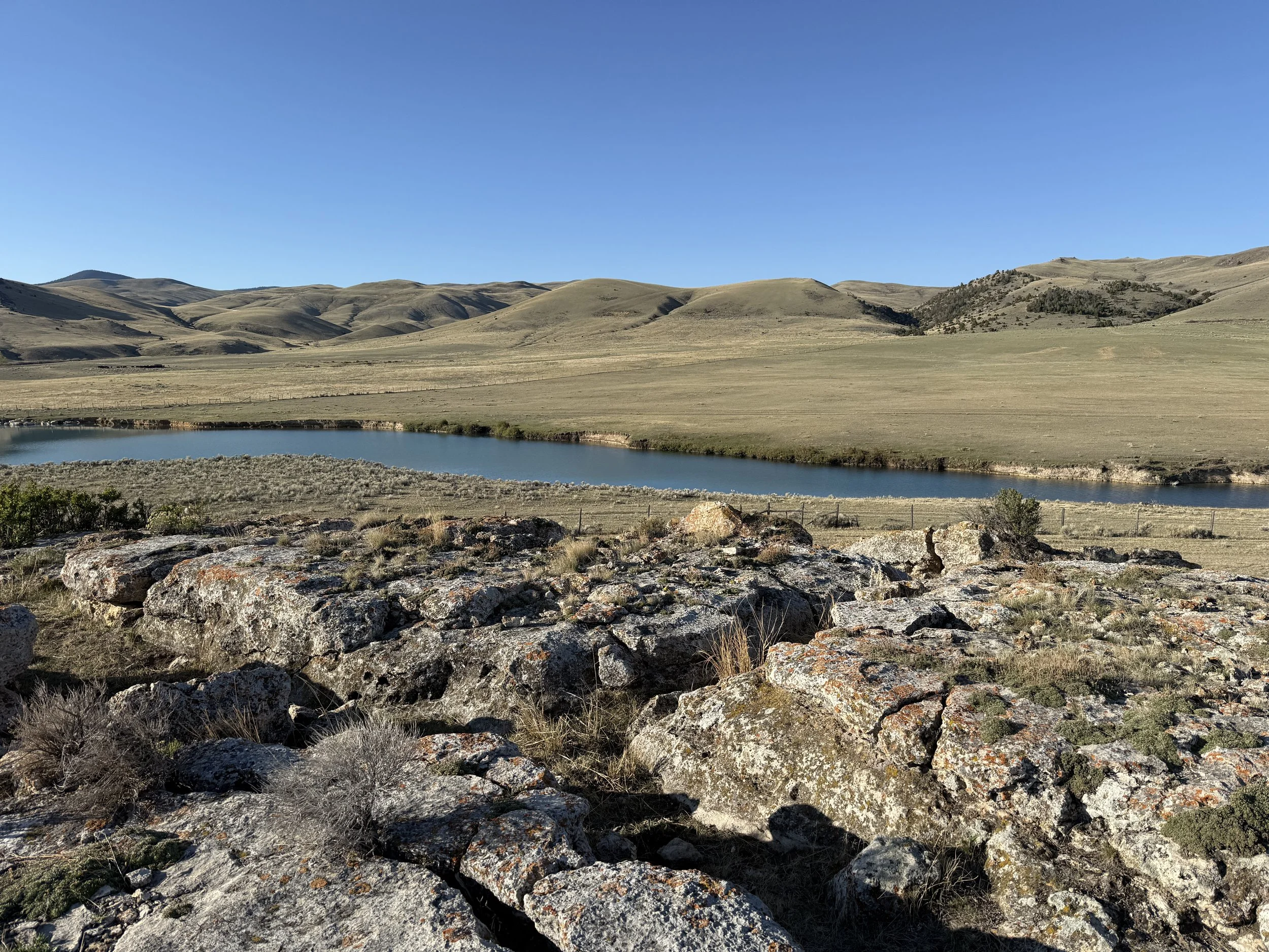 939C32A5-A472-41F5-B2BB-5E573752F308.jpeg
