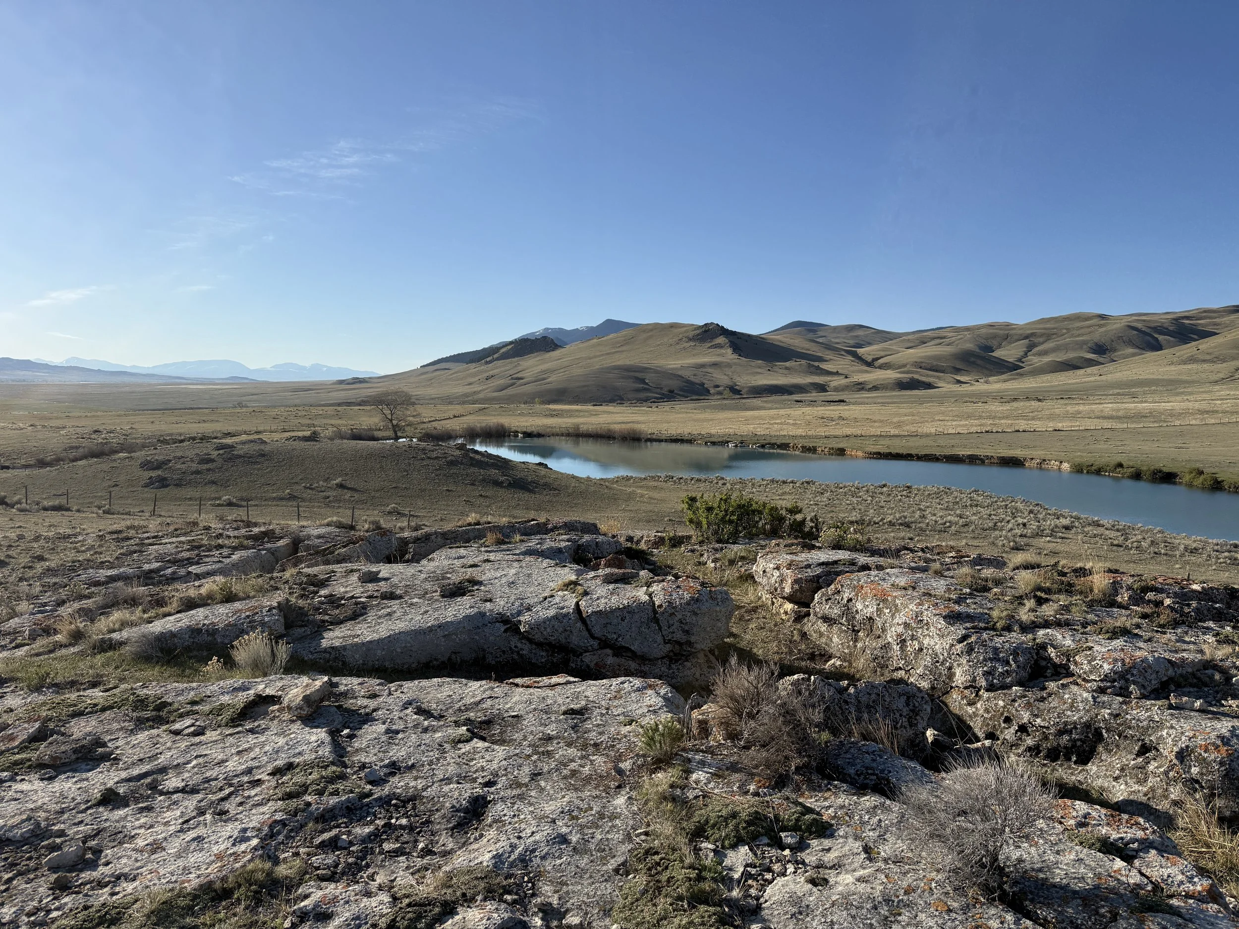 43D7619A-D082-46AE-9A1E-0F12561C548C.jpeg
