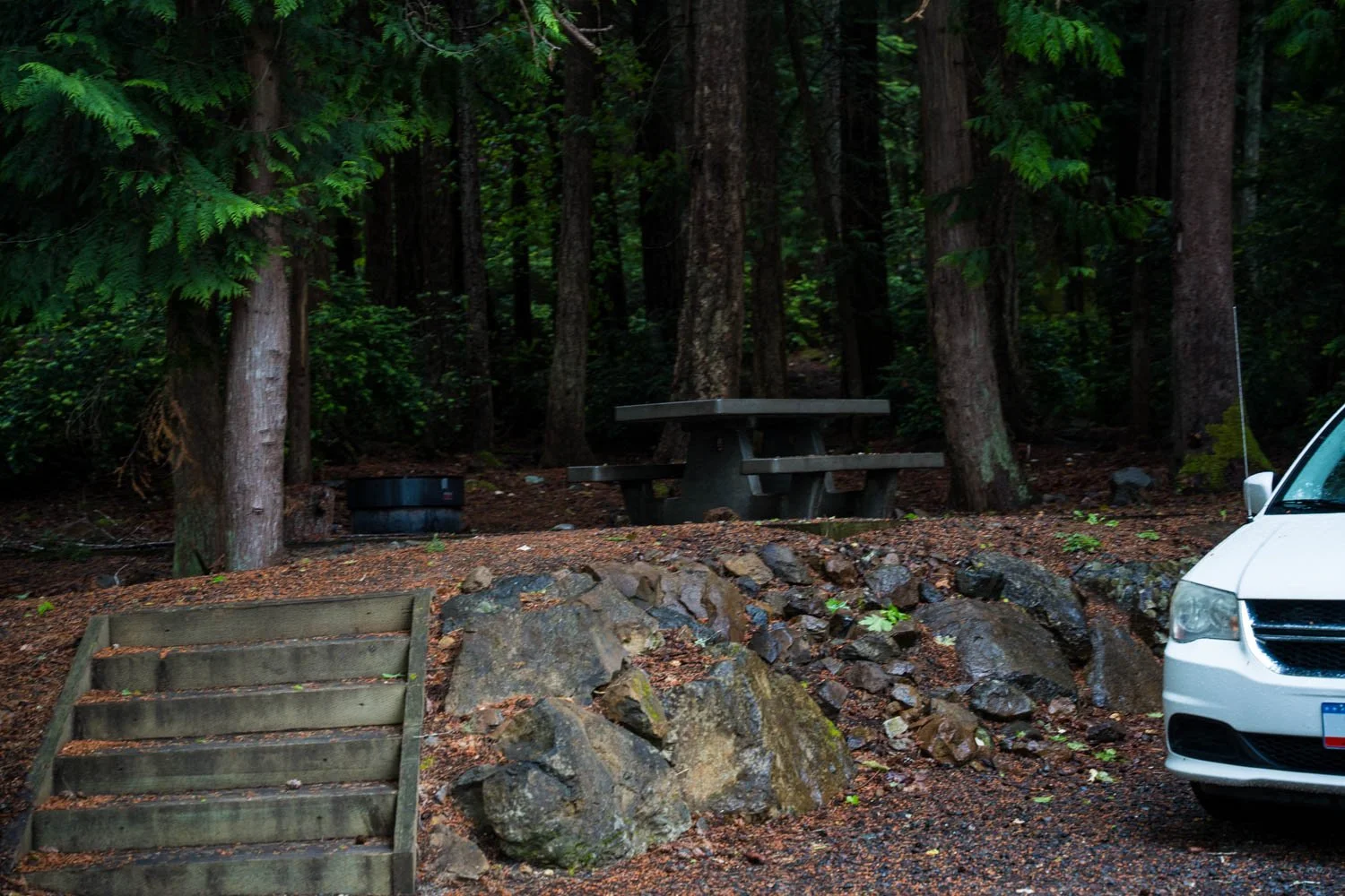 A7409381.jpg