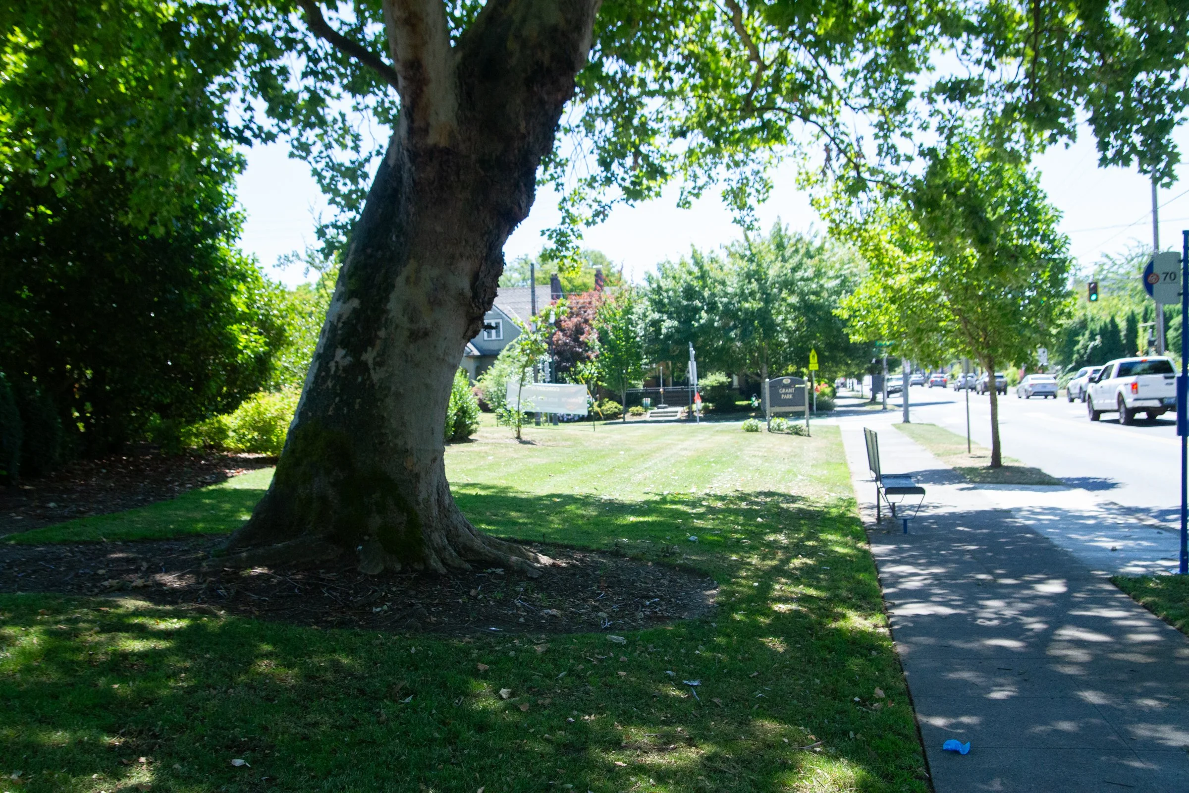 _MG_8824.jpg