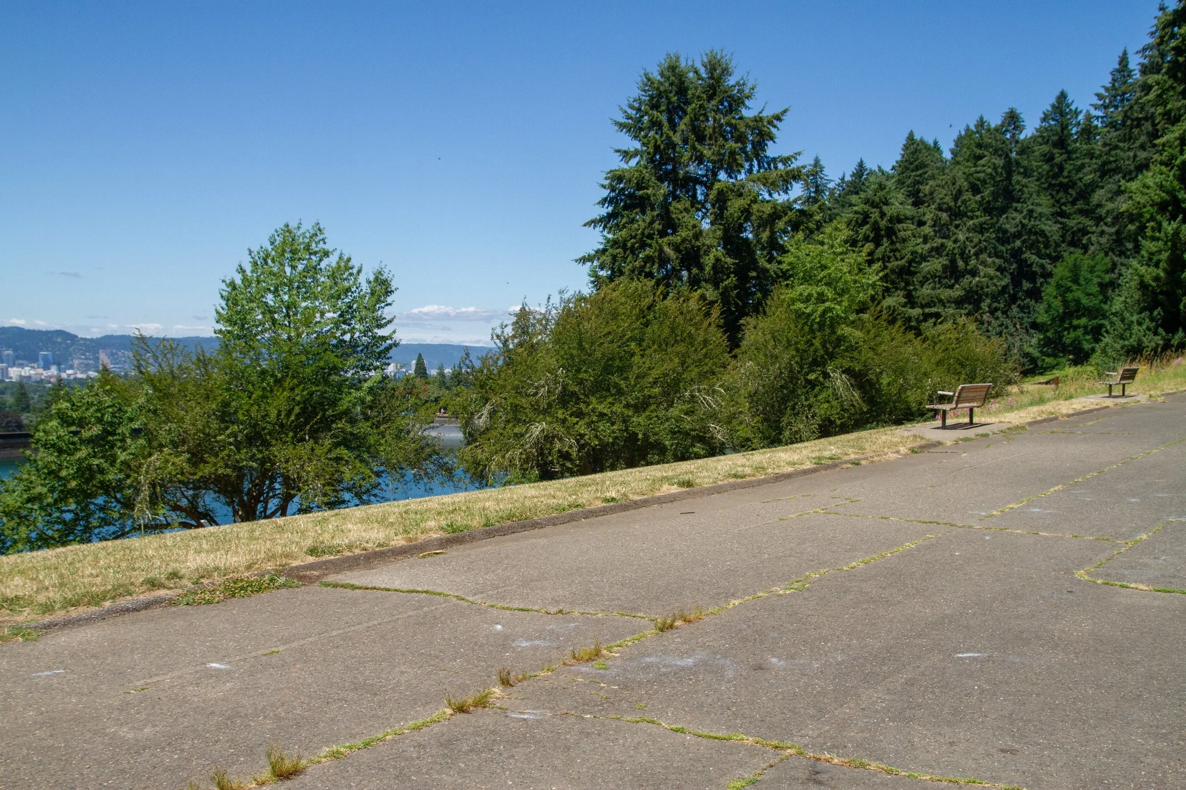 _MG_8809.jpg