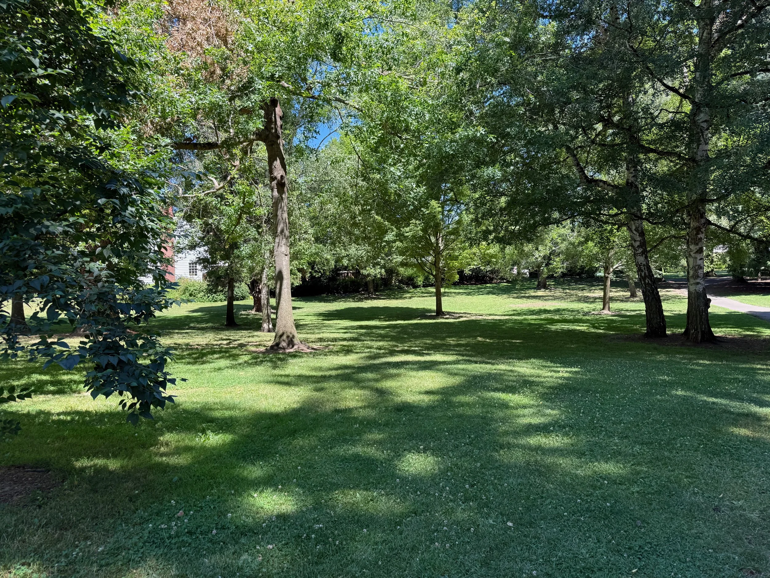 grant park_76.jpg