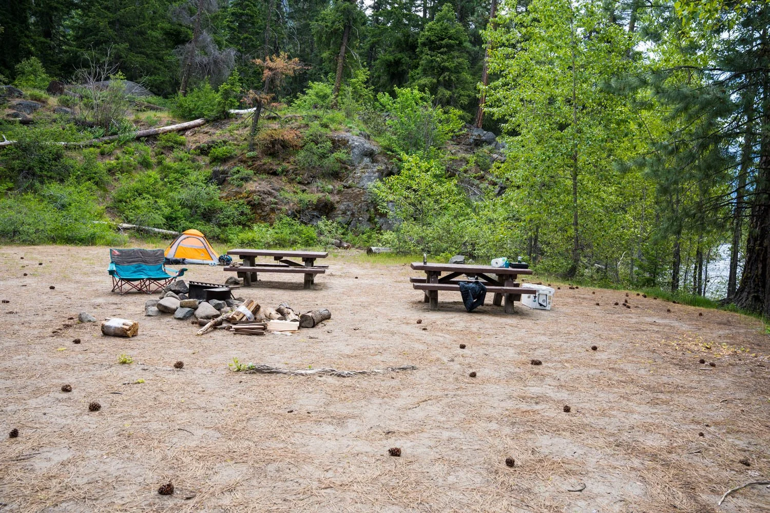 A7408362.jpg