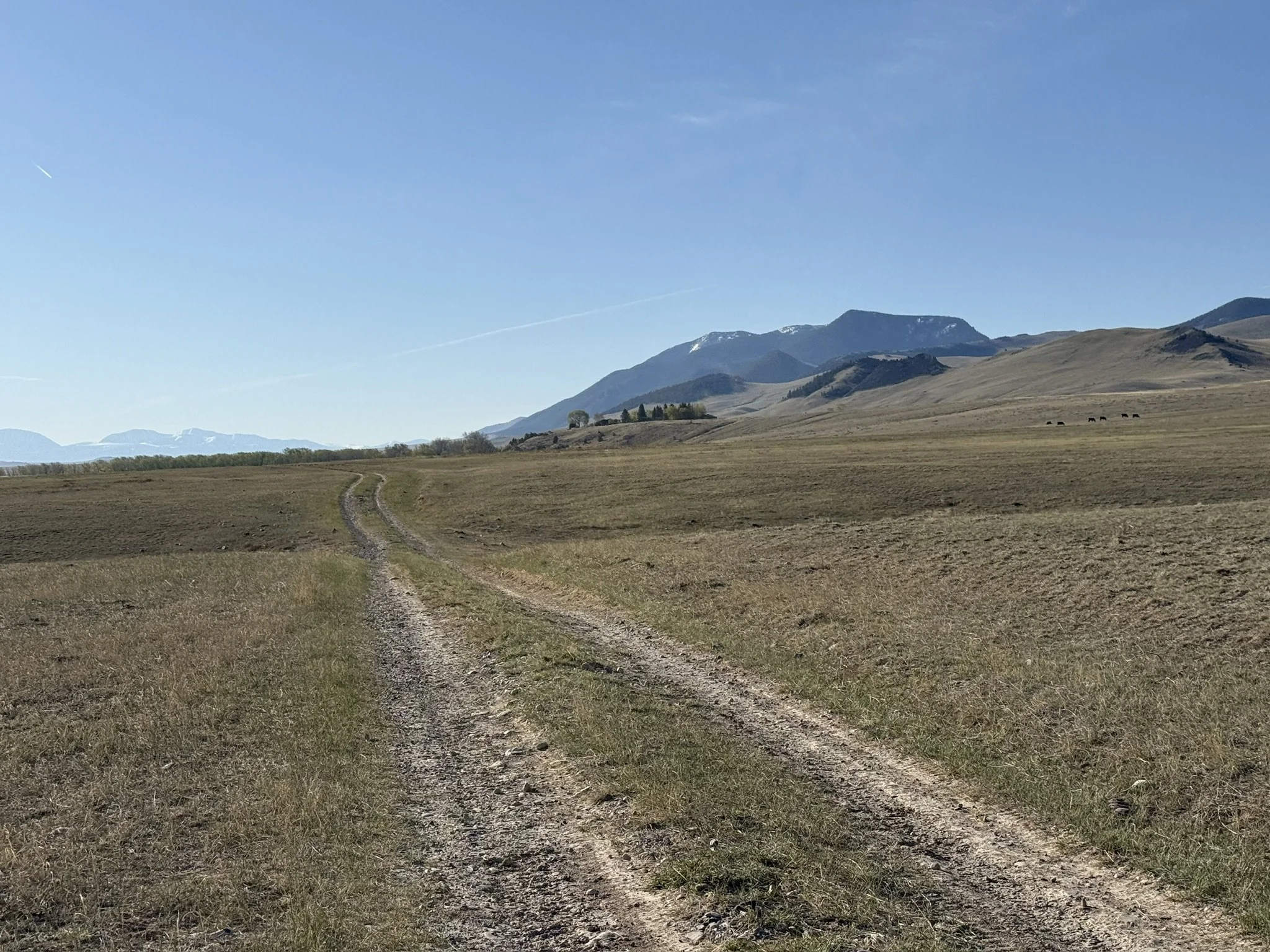 D82037A6-4AB2-47E6-B962-BEA44C27A61A_1_102_o.jpeg