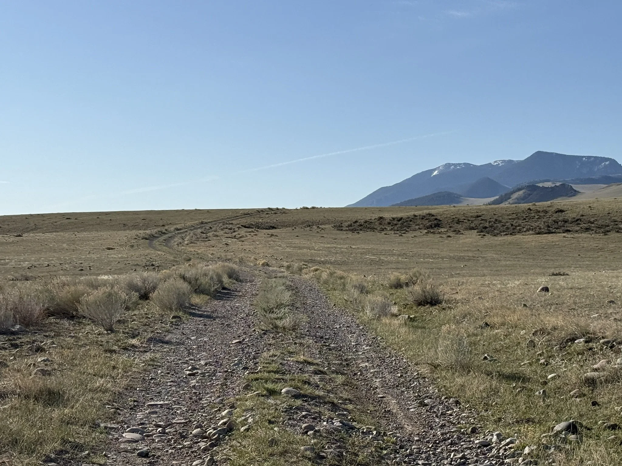 2AB12740-924A-4478-9768-F5548FEEB578_1_102_o.jpeg