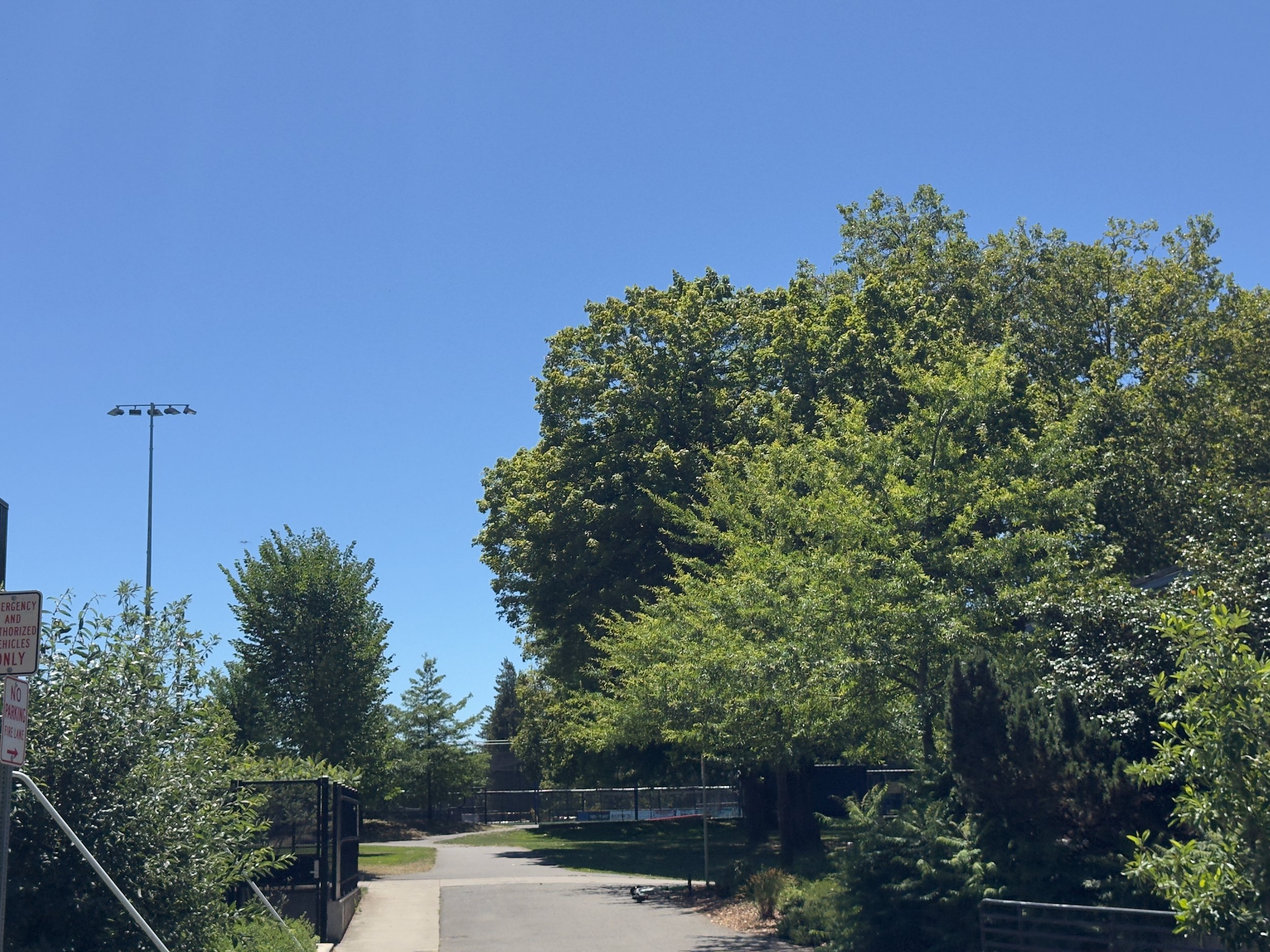 grant park_78.jpg