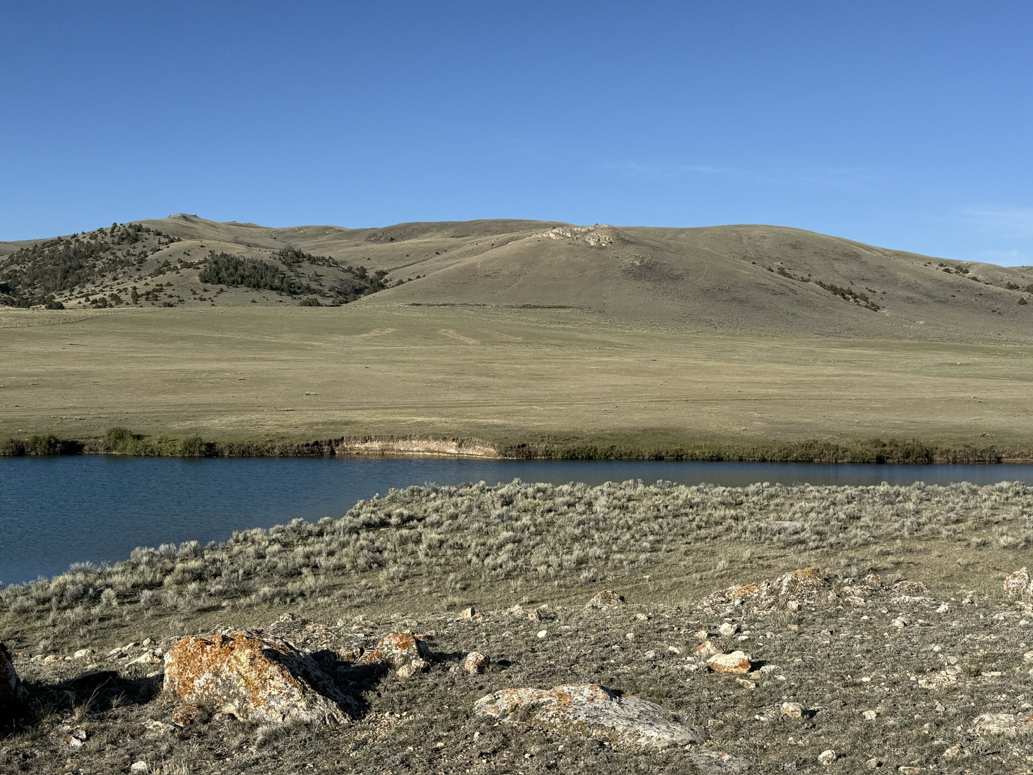 0B04A33F-F3C4-4D35-8E43-84147576D4DE_1_102_o.jpeg