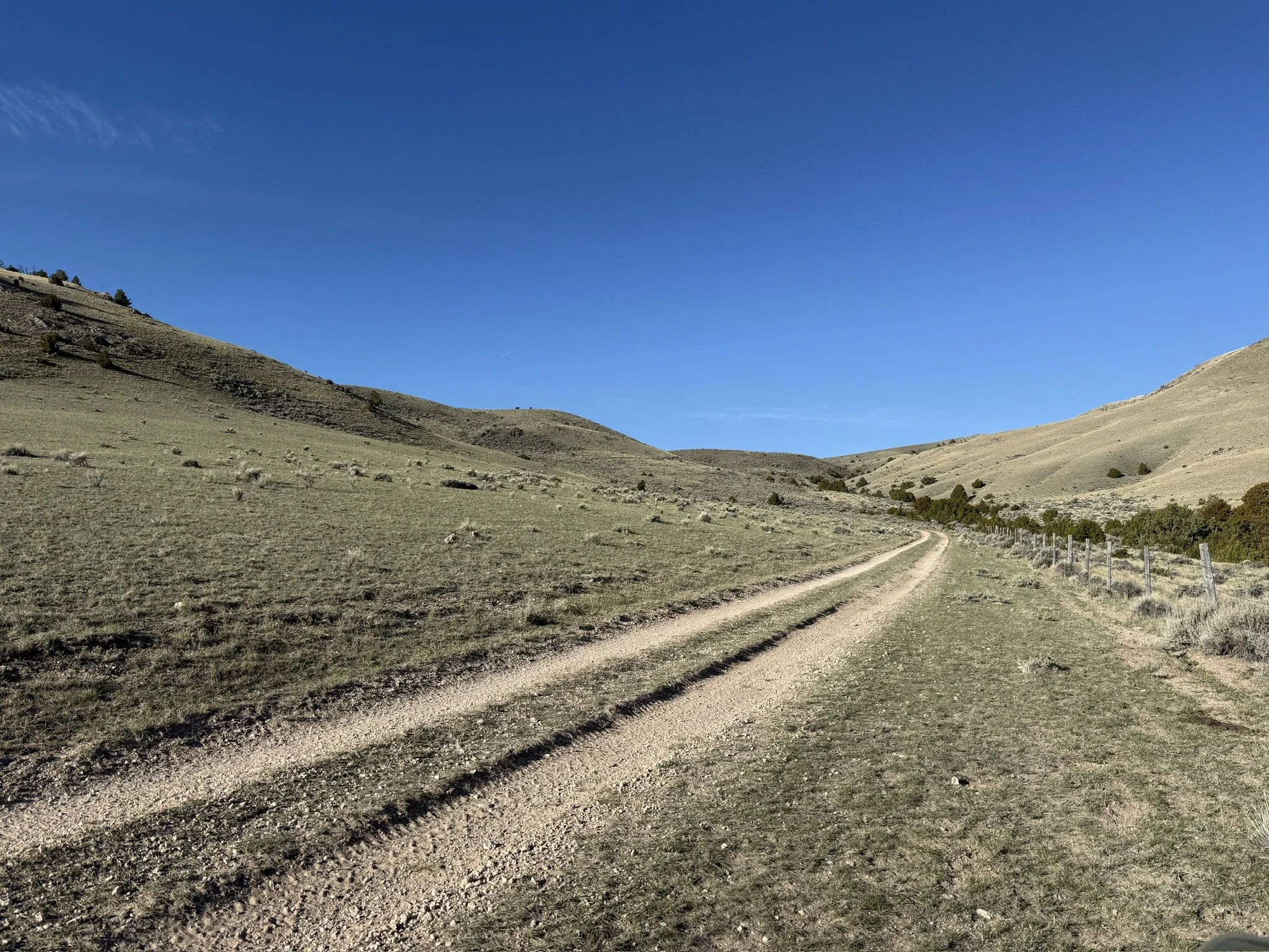 5A2D346B-B6AA-4B8E-AE42-FAC50AD79649_1_102_o.jpeg