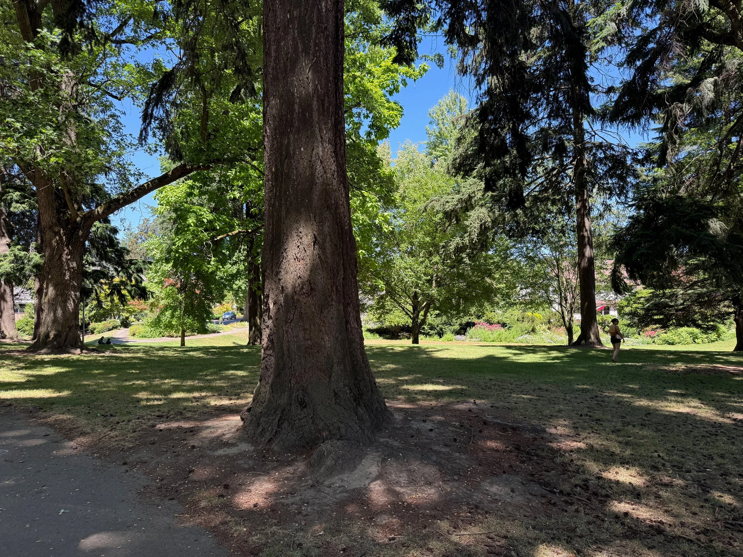 grant park_73.jpg