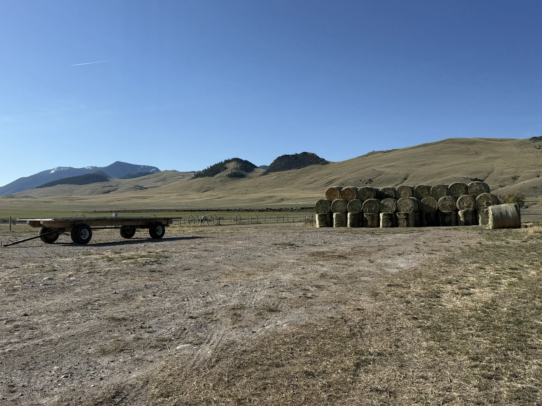 70C901C3-F7FB-498A-9924-EA1E85E79694_1_102_o.jpeg