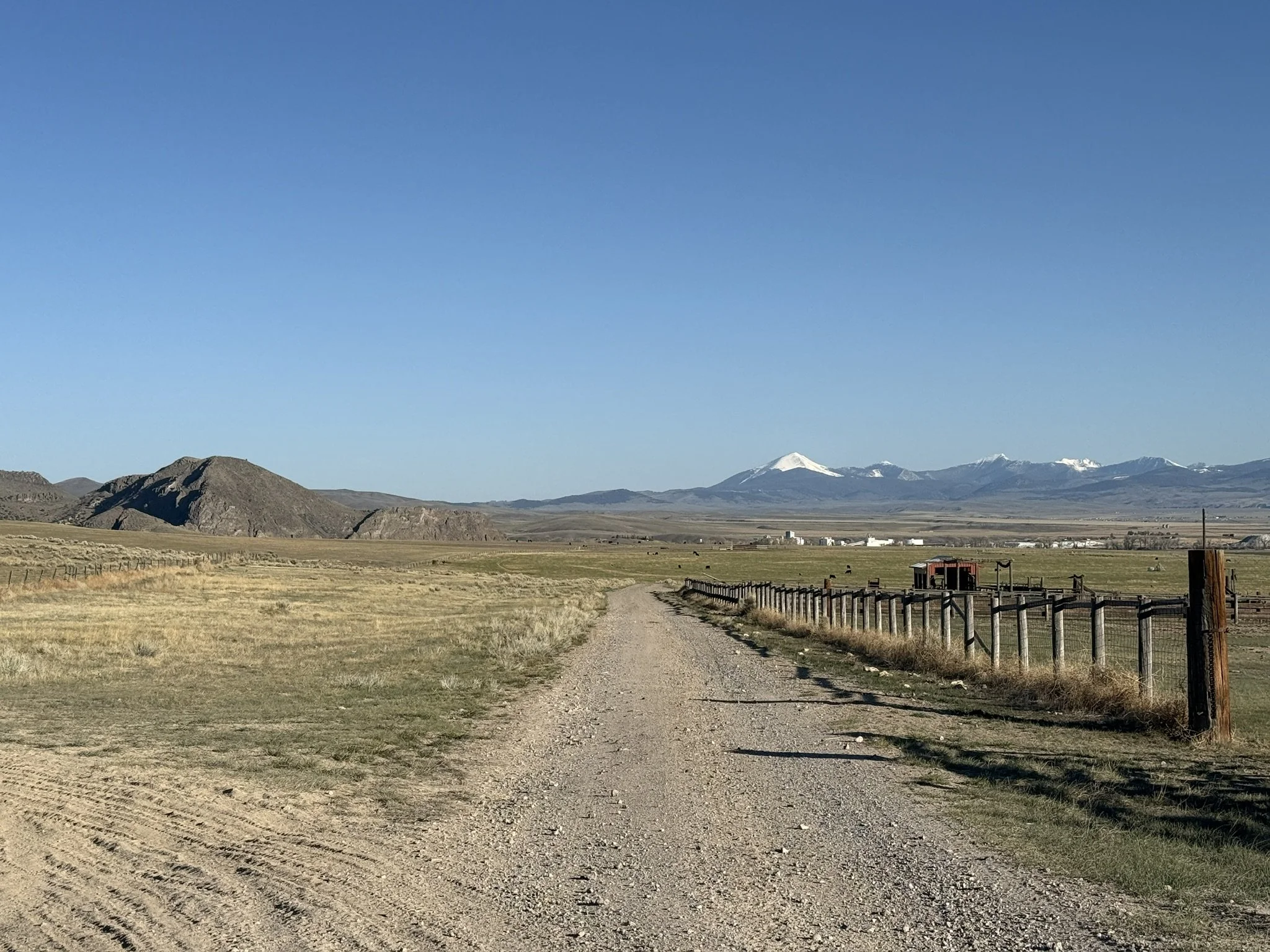 C42240E1-B498-4202-8B92-F8F4BA15465D_1_102_o.jpeg