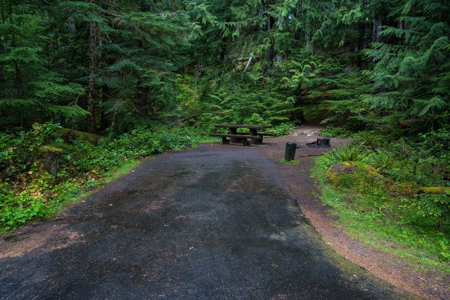 A7408841.jpg