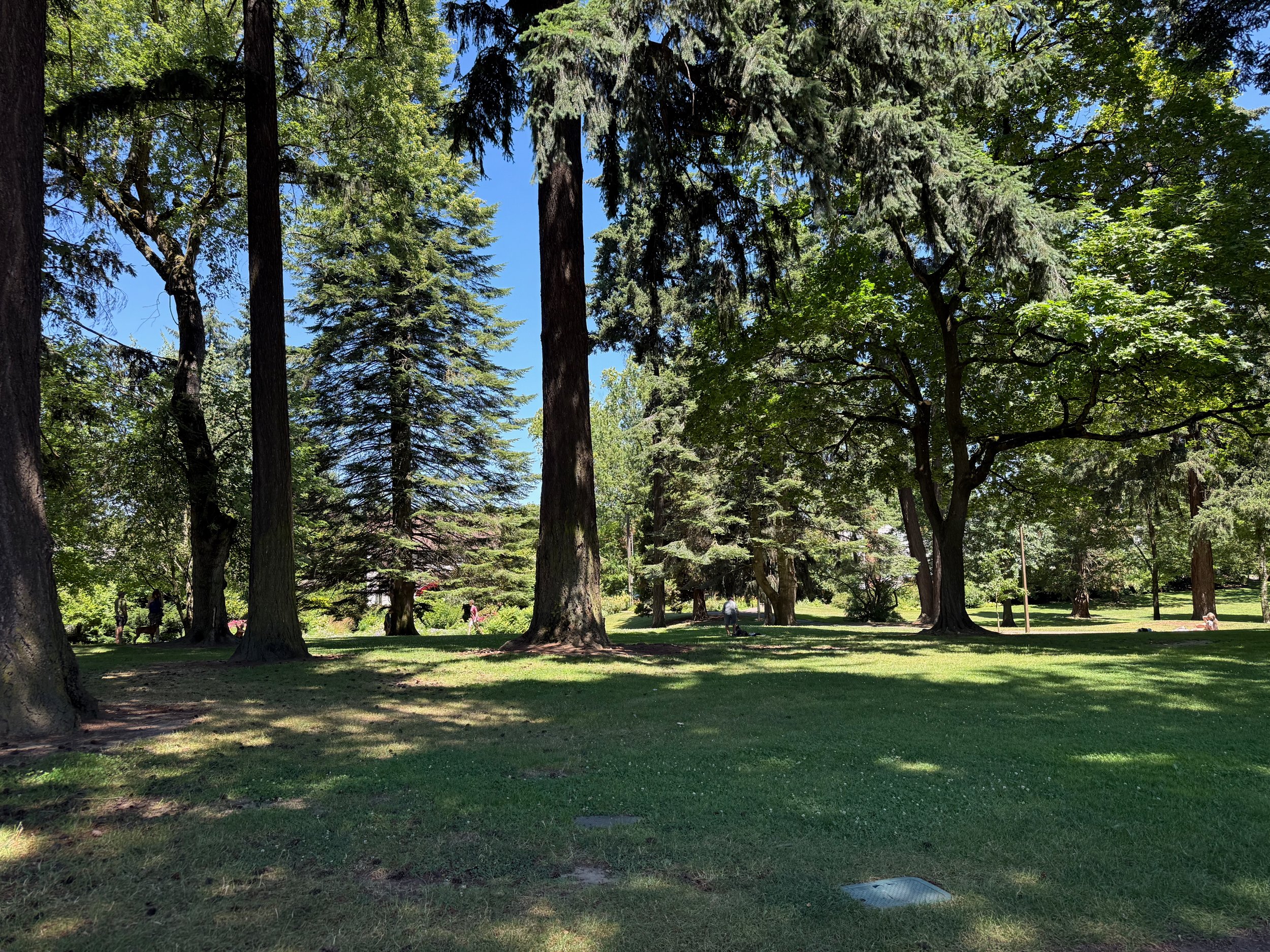 grant park_74.jpg